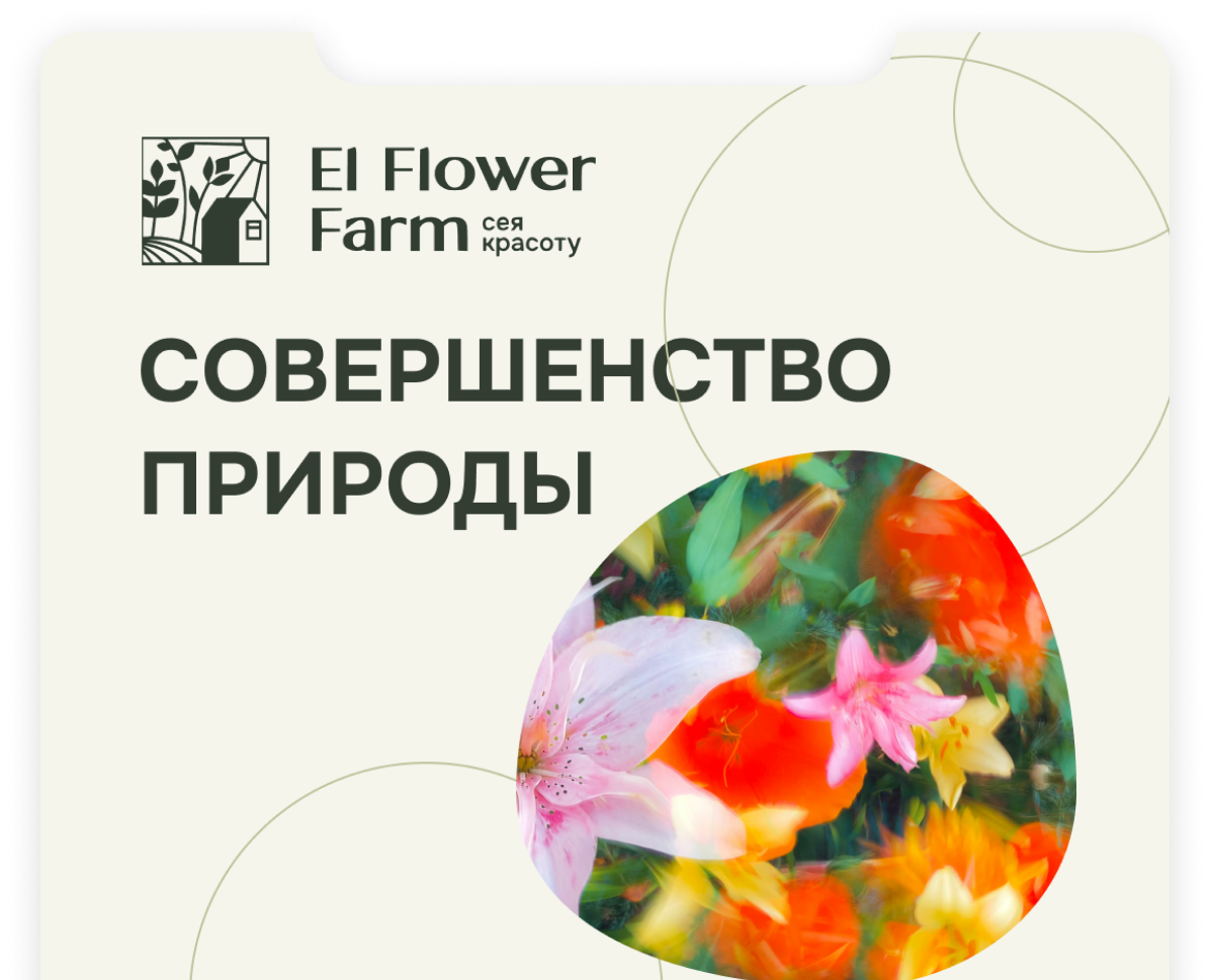 FLOWER FARM // social media — Маркетинг на Dprofile