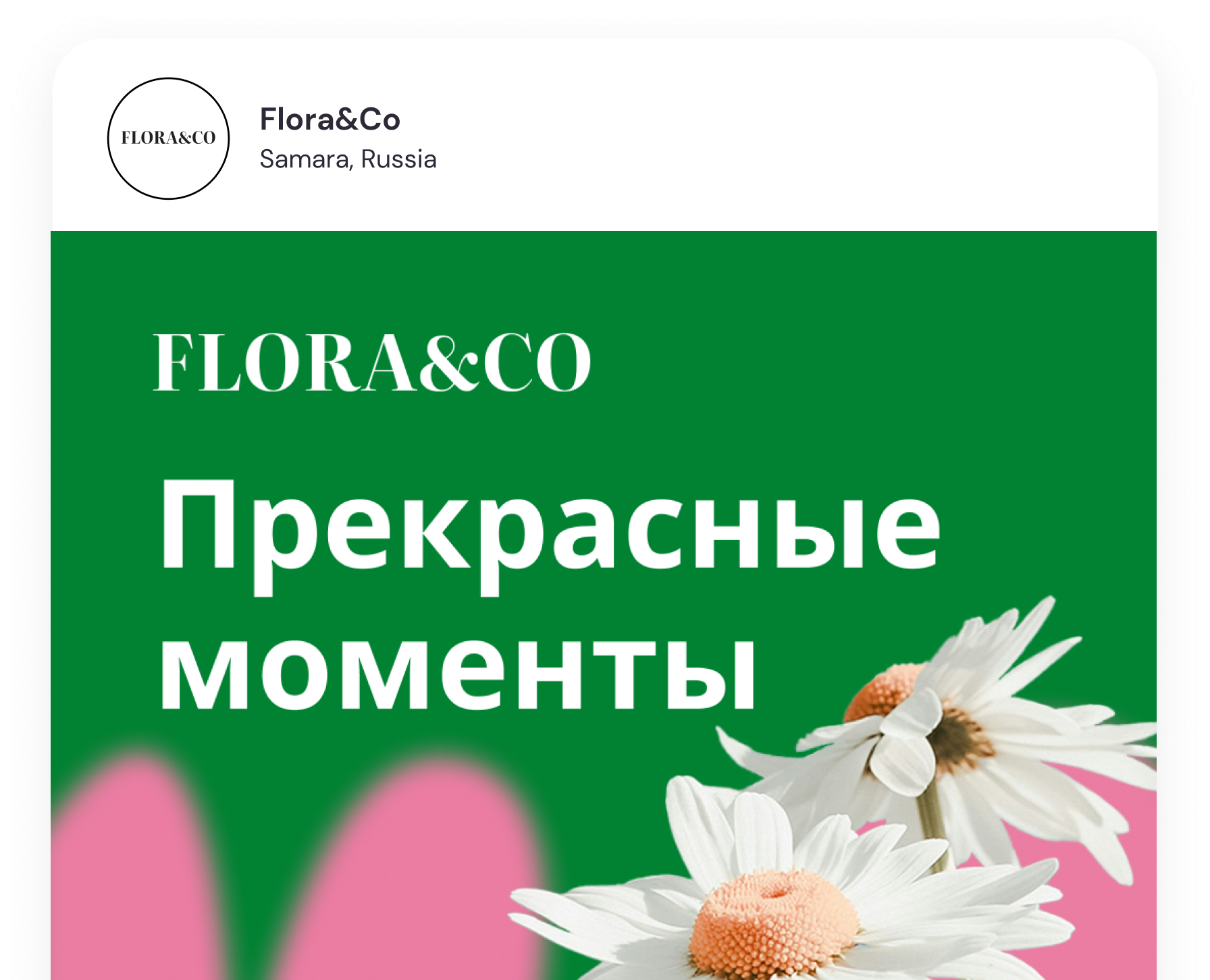 FLORA&CO // social media — Маркетинг на Dprofile