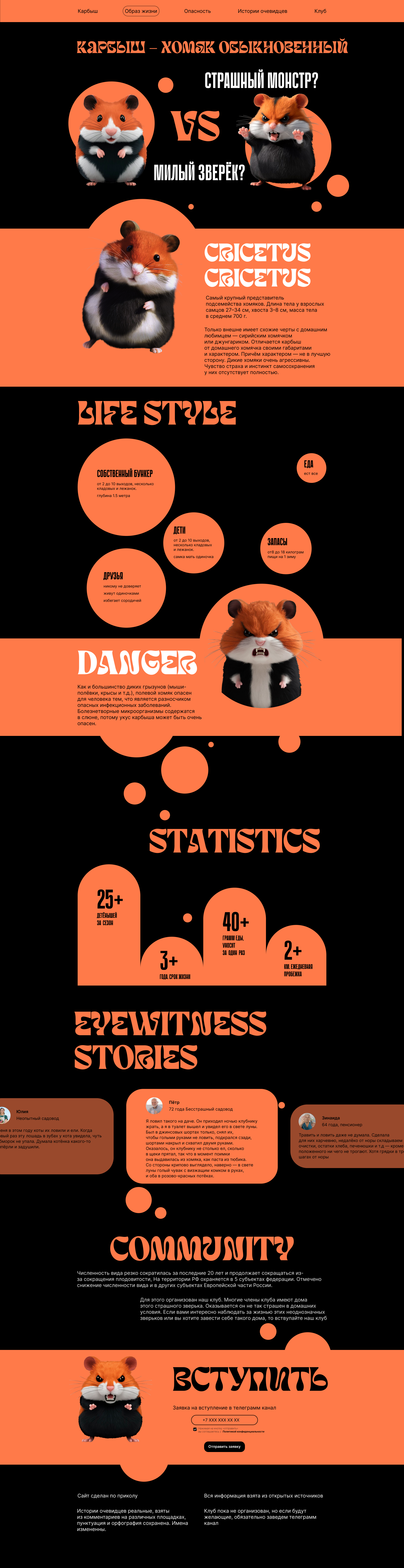 landing page wild humster — Изображение №2 — Интерфейсы на Dprofile