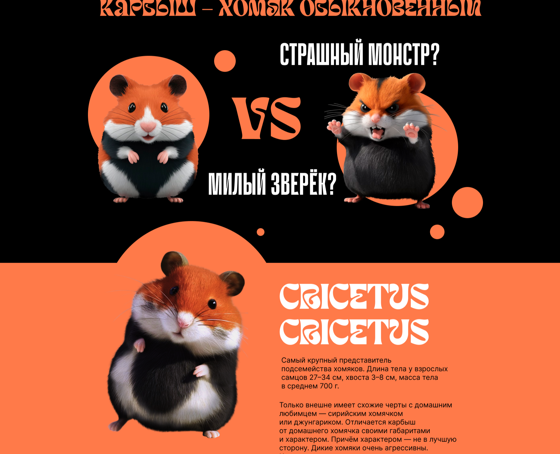 landing page wild humster — Интерфейсы на Dprofile