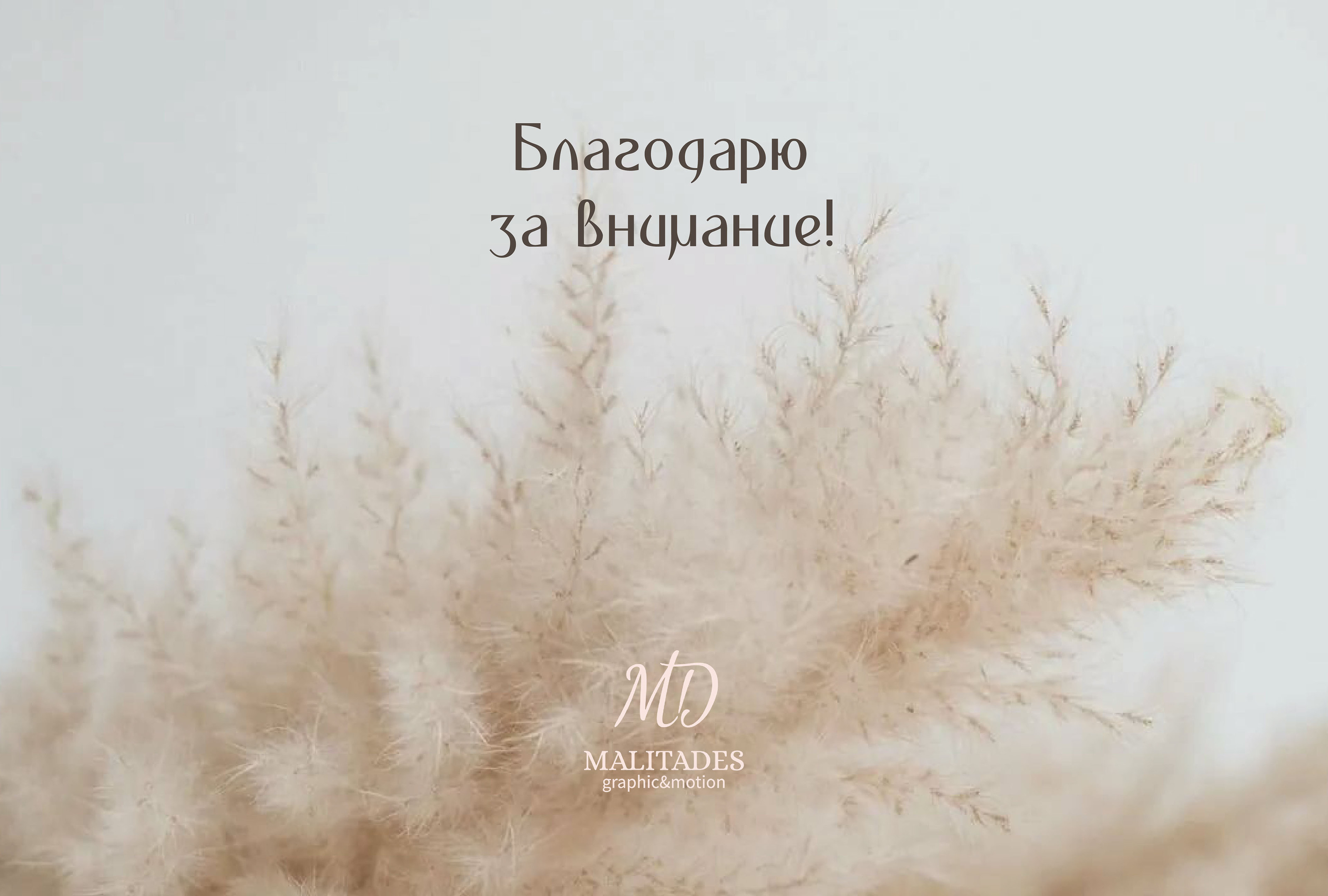 Логотип и фирменный стиль для бренда домашней одежды — Изображение №24 — Брендинг, Анимация на Dprofile