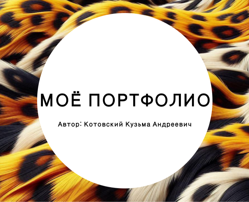 Моё портфолио на Dprofile