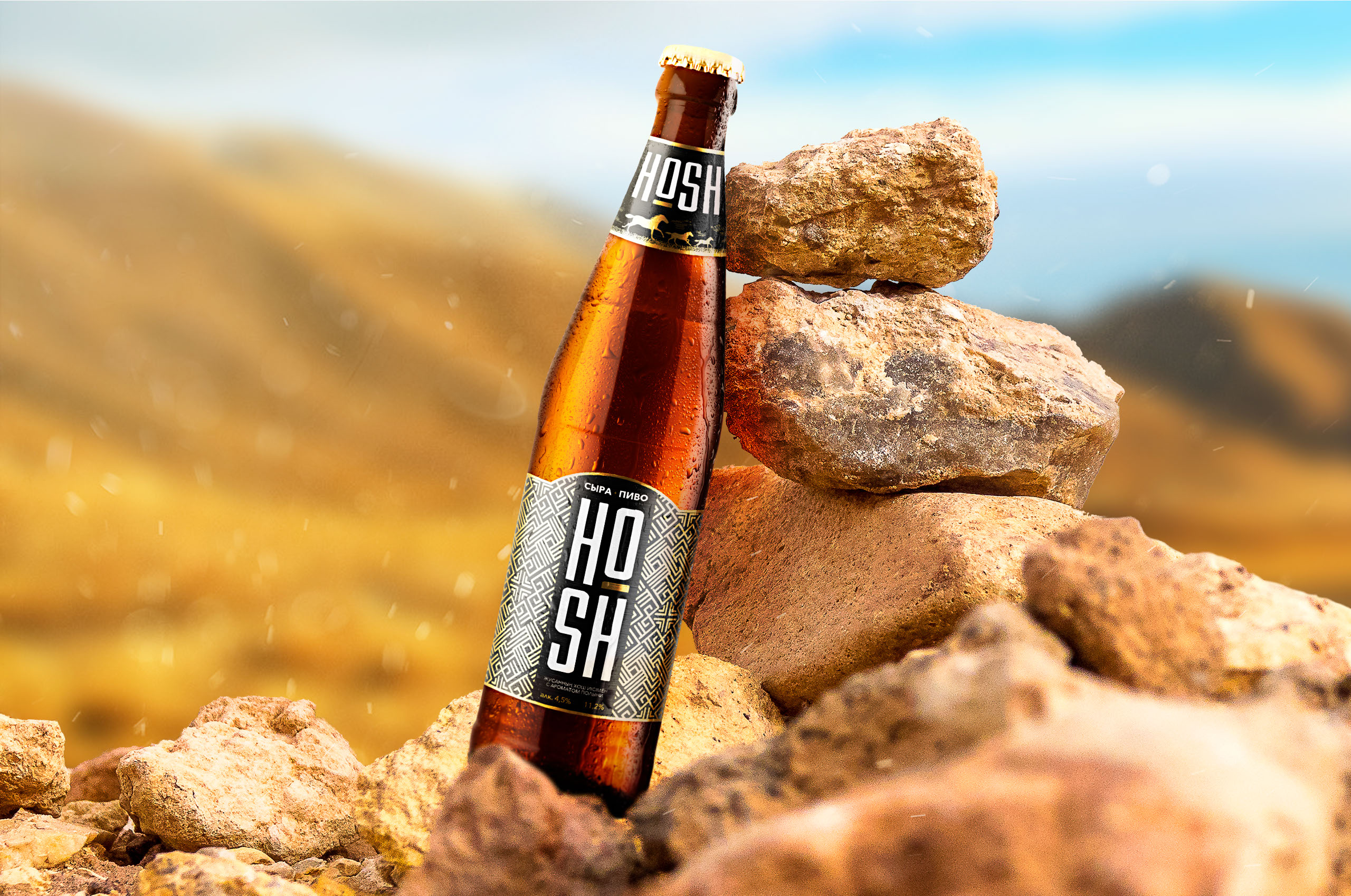 «HOSH» Kazakh Craft Beer | Packaging Design — Изображение №4 — Брендинг на Dprofile