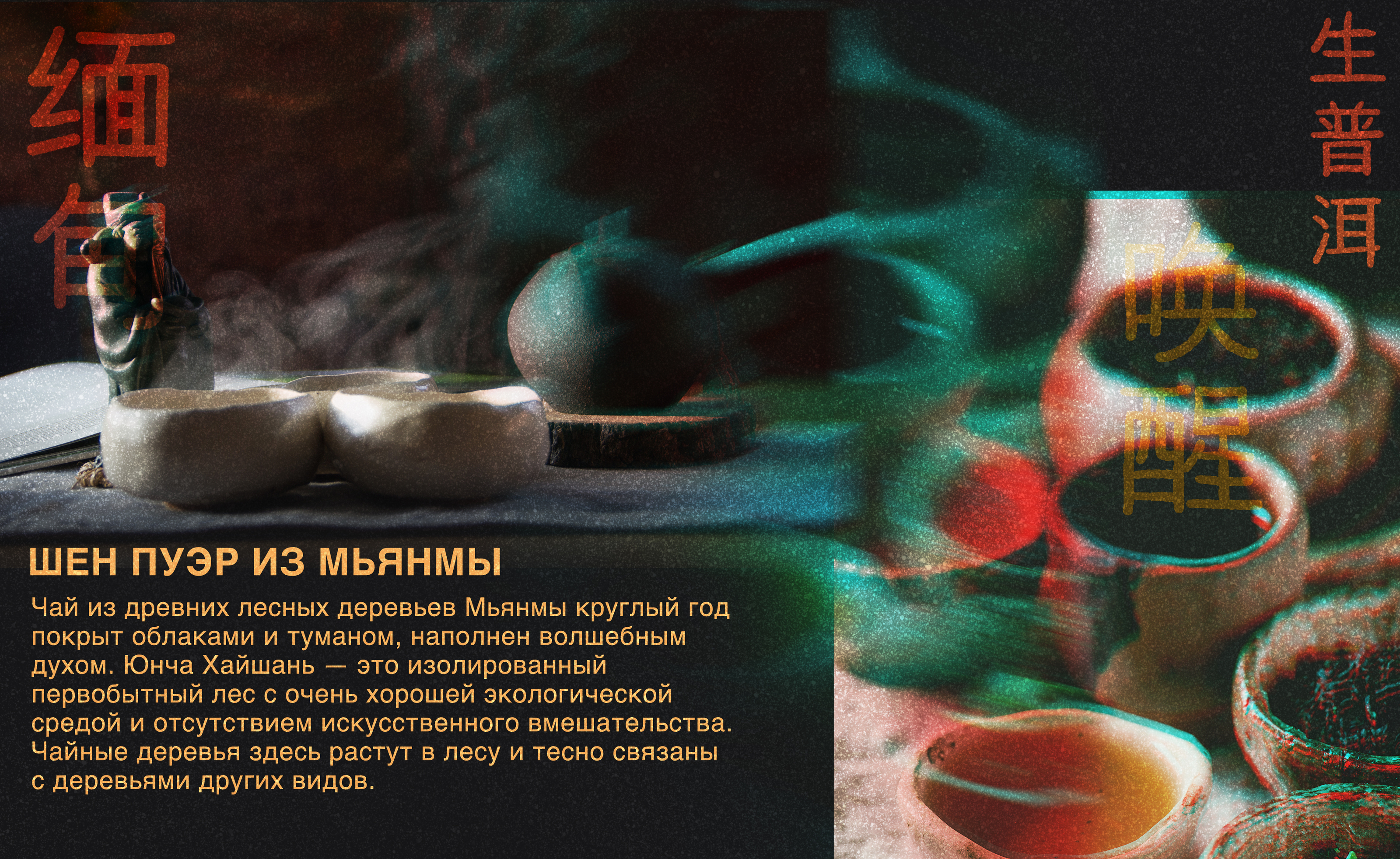 Иллюстрация для упаковки чая Пуэр: Тень короля и Пробуждение — Изображение №2 — Брендинг, Иллюстрация на Dprofile