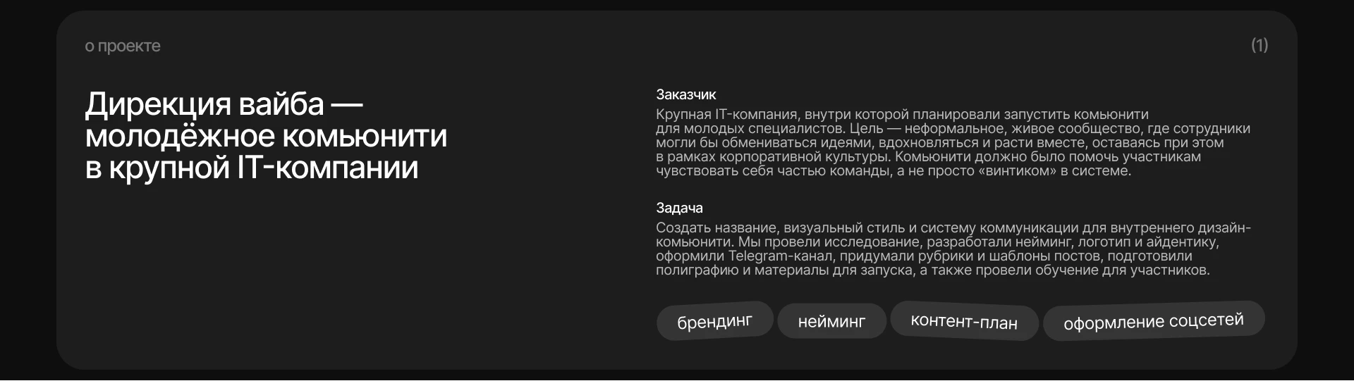 Брендинг молодёжного сообщества «Дирекция вайба» — Изображение №2 — Брендинг, Маркетинг на Dprofile