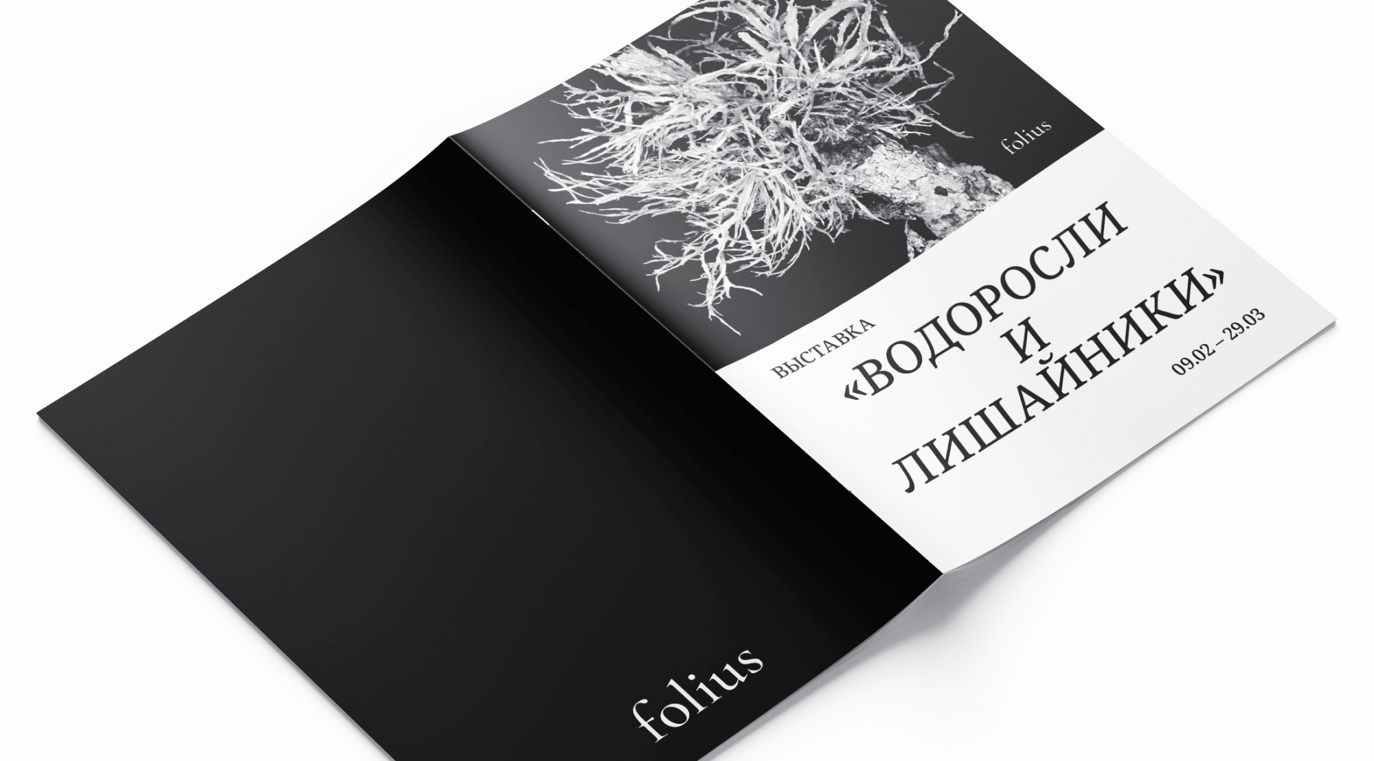 Дизайн брошюры для выставки — Изображение №9 — Графика на Dprofile