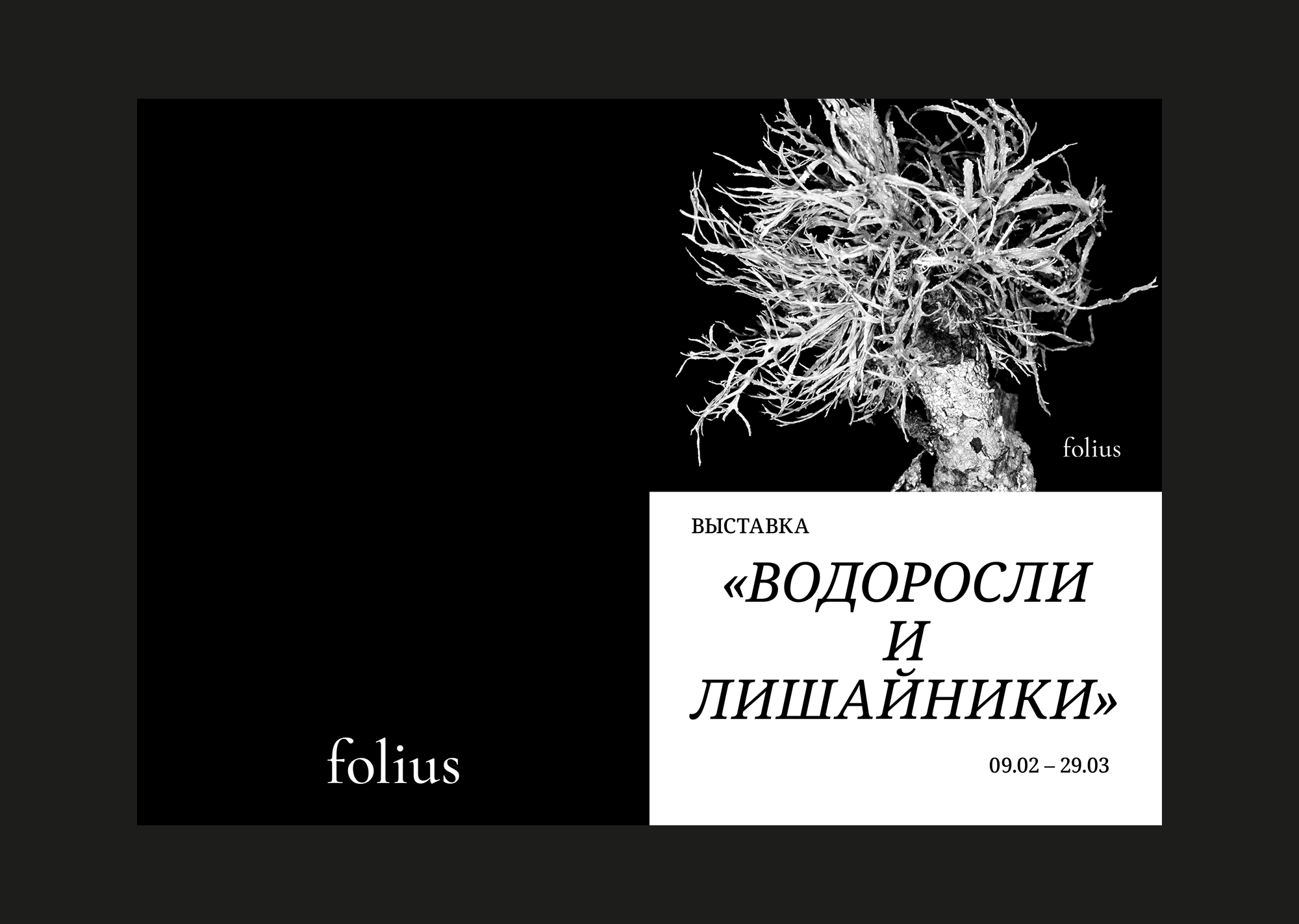Дизайн брошюры для выставки — Изображение №3 — Графика на Dprofile
