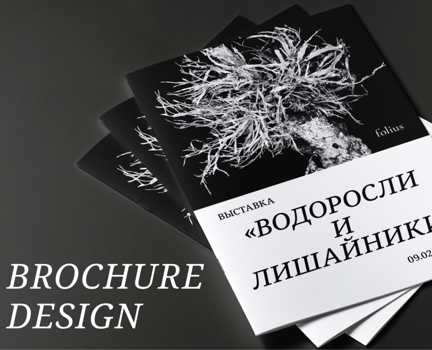 Дизайн брошюры для выставки — Графика на Dprofile