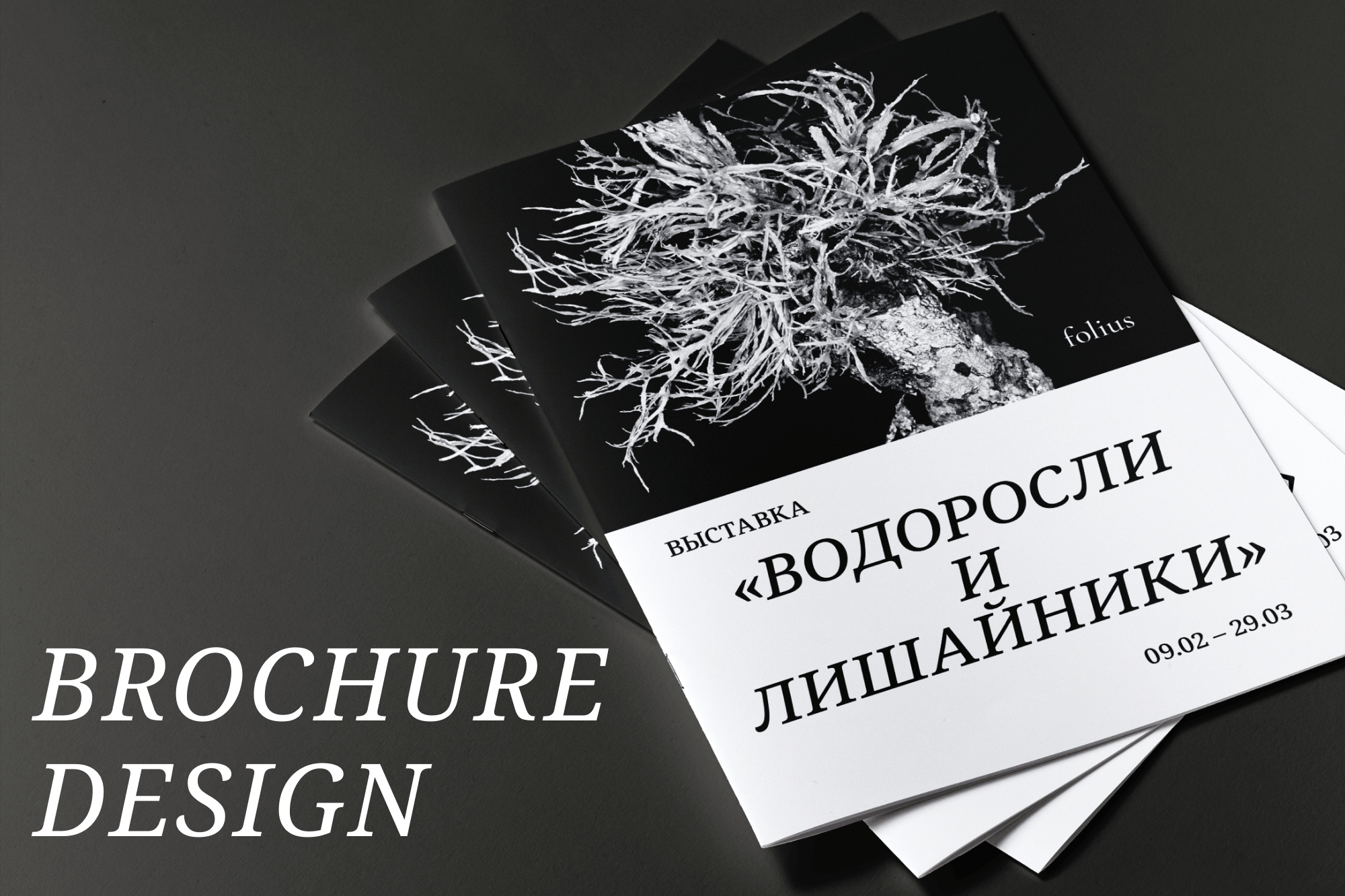 Дизайн брошюры для выставки — Изображение №1 — Графика на Dprofile