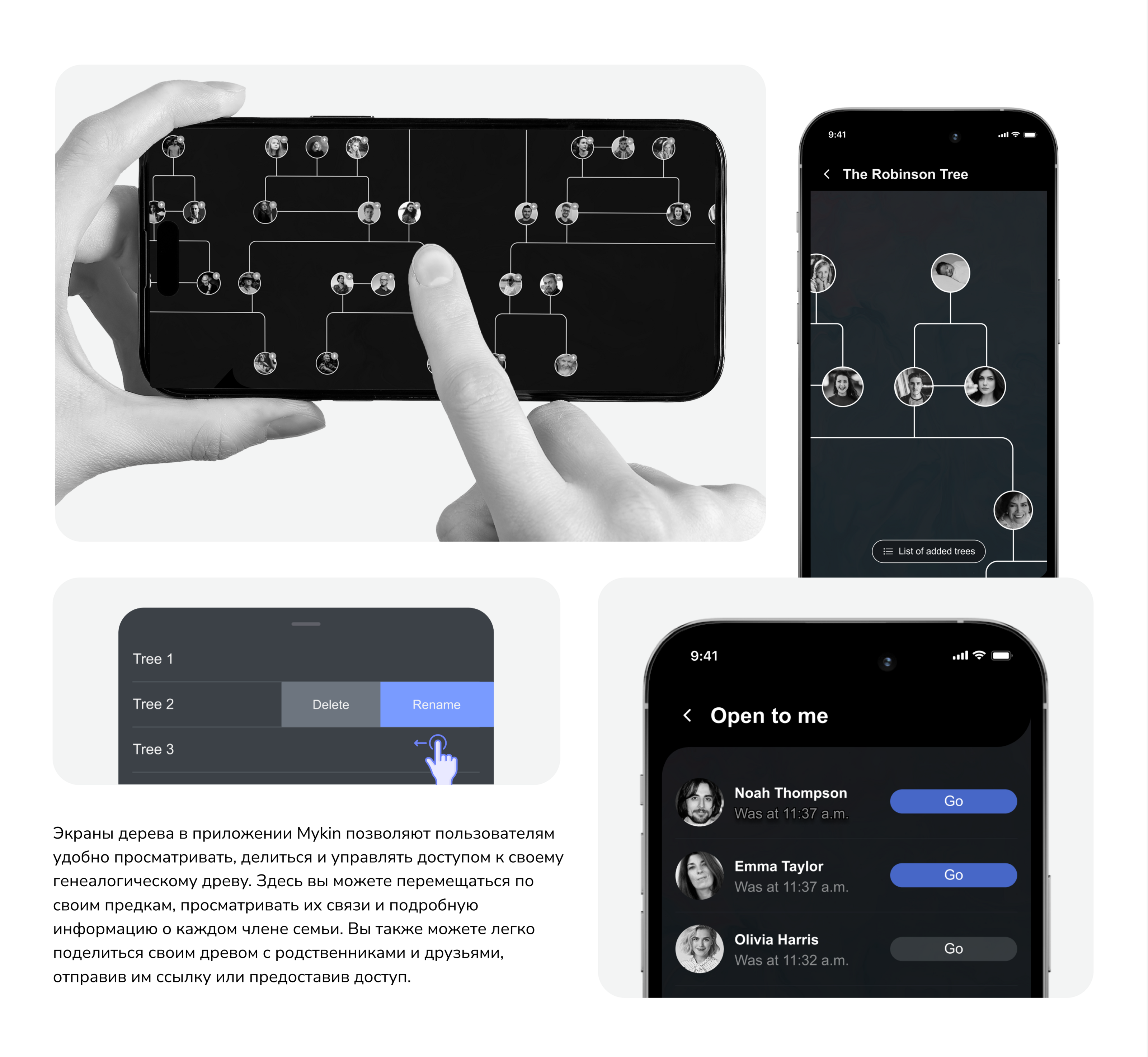 MYKIN - приложение семейного древа — Изображение №12 — Интерфейсы, Брендинг на Dprofile