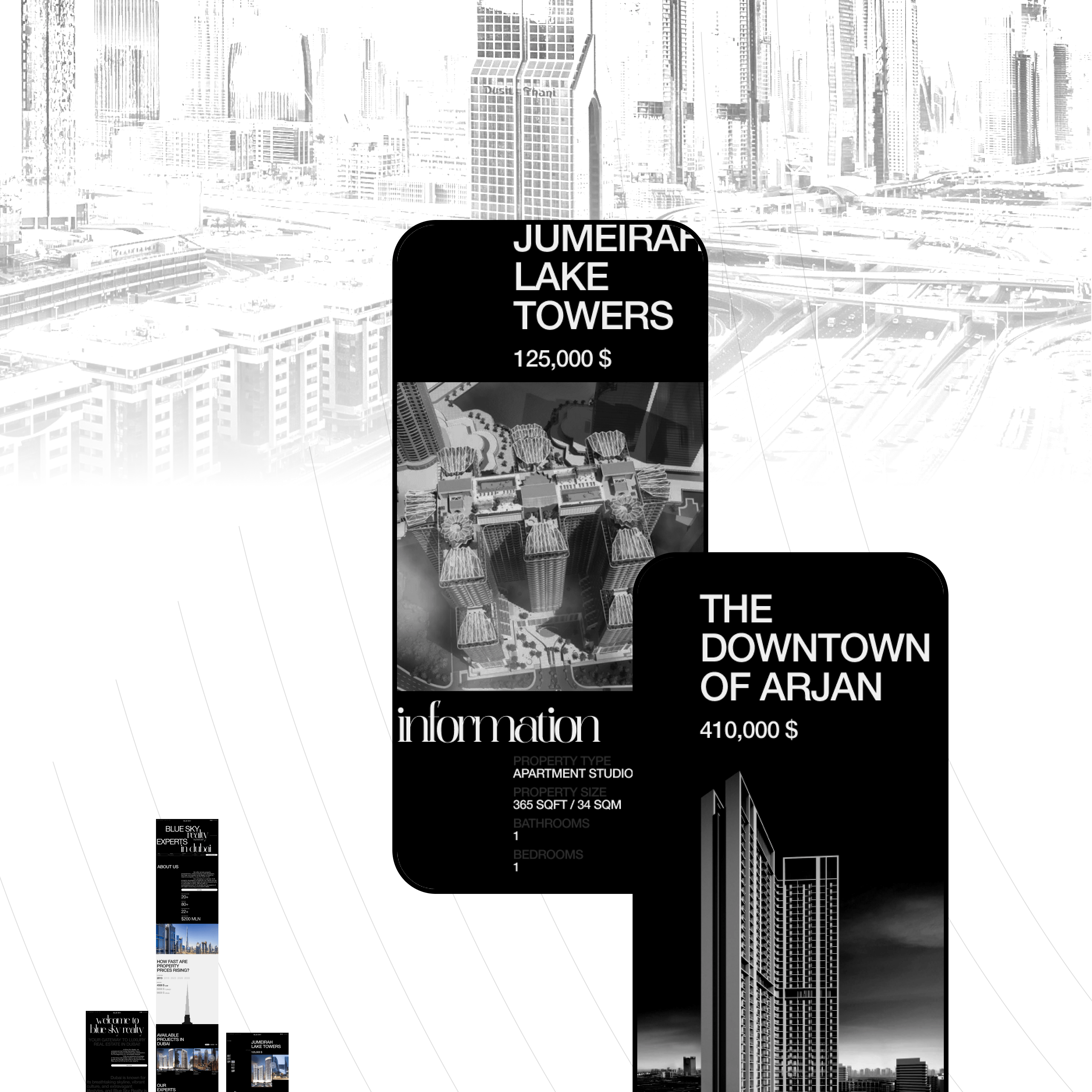 Blue Sky Realty | Web Design — Изображение №10 — Интерфейсы, Графика на Dprofile