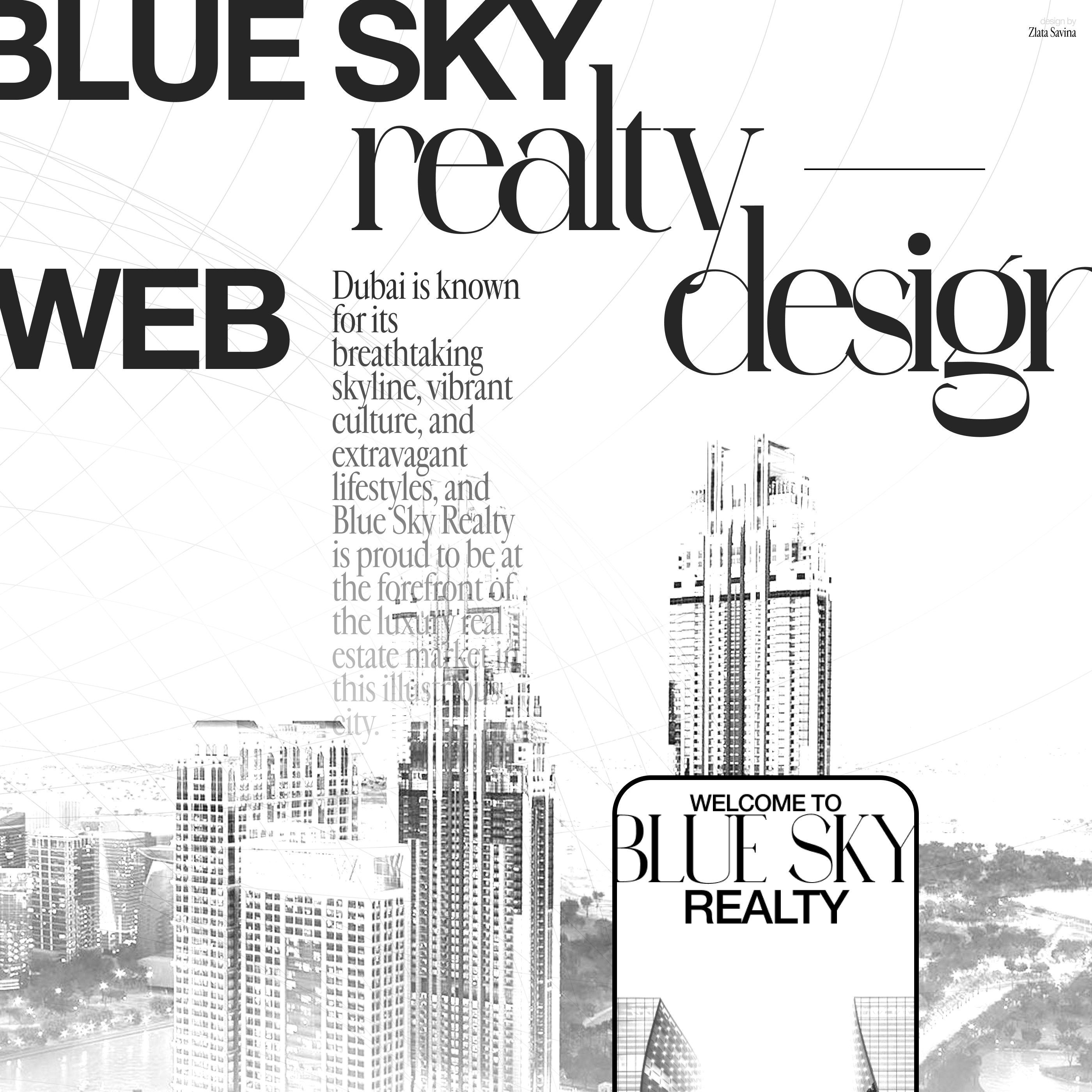 Blue Sky Realty | Web Design — Изображение №1 — Интерфейсы, Графика на Dprofile