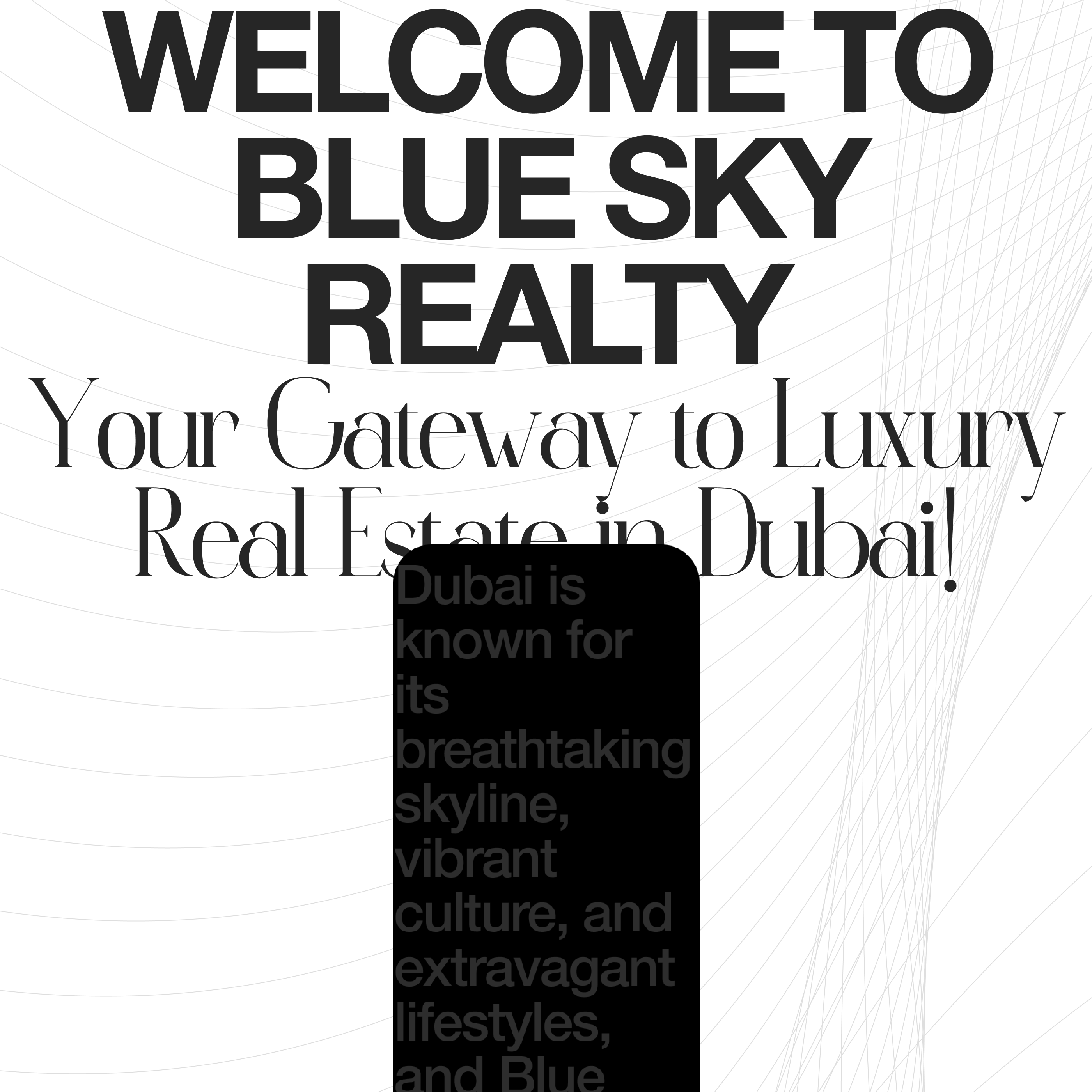 Blue Sky Realty | Web Design — Изображение №7 — Интерфейсы, Графика на Dprofile