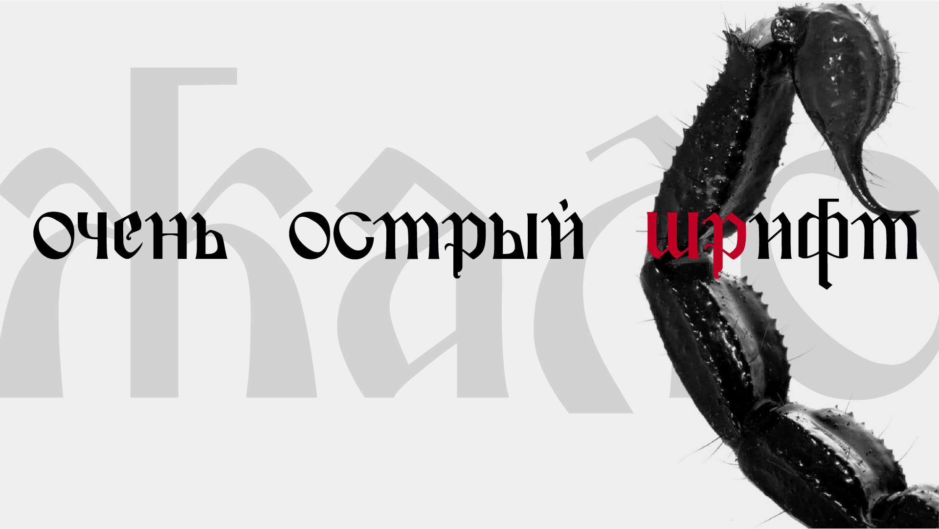 Шрифт «Zhalo» — Изображение №1 — Графика на Dprofile