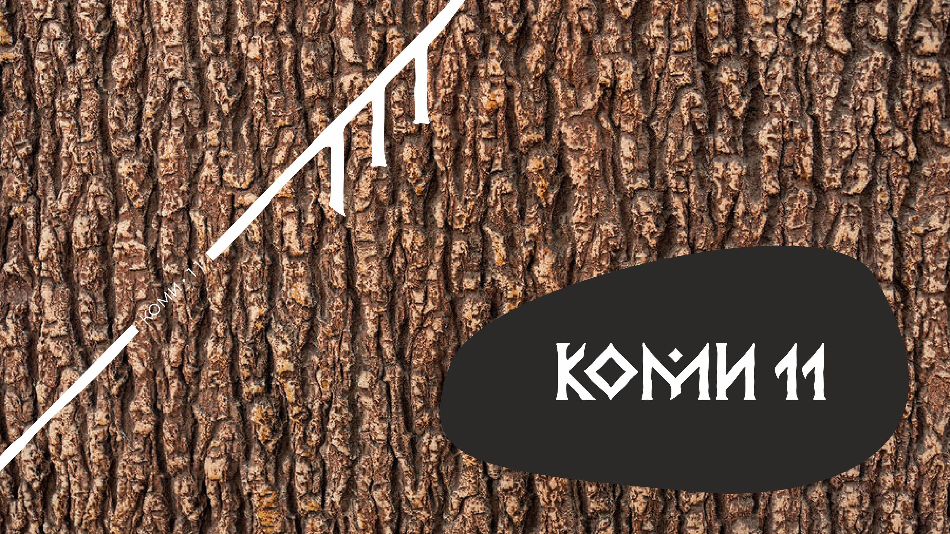 Коми 11 Мерч — Изображение №49 — Брендинг на Dprofile