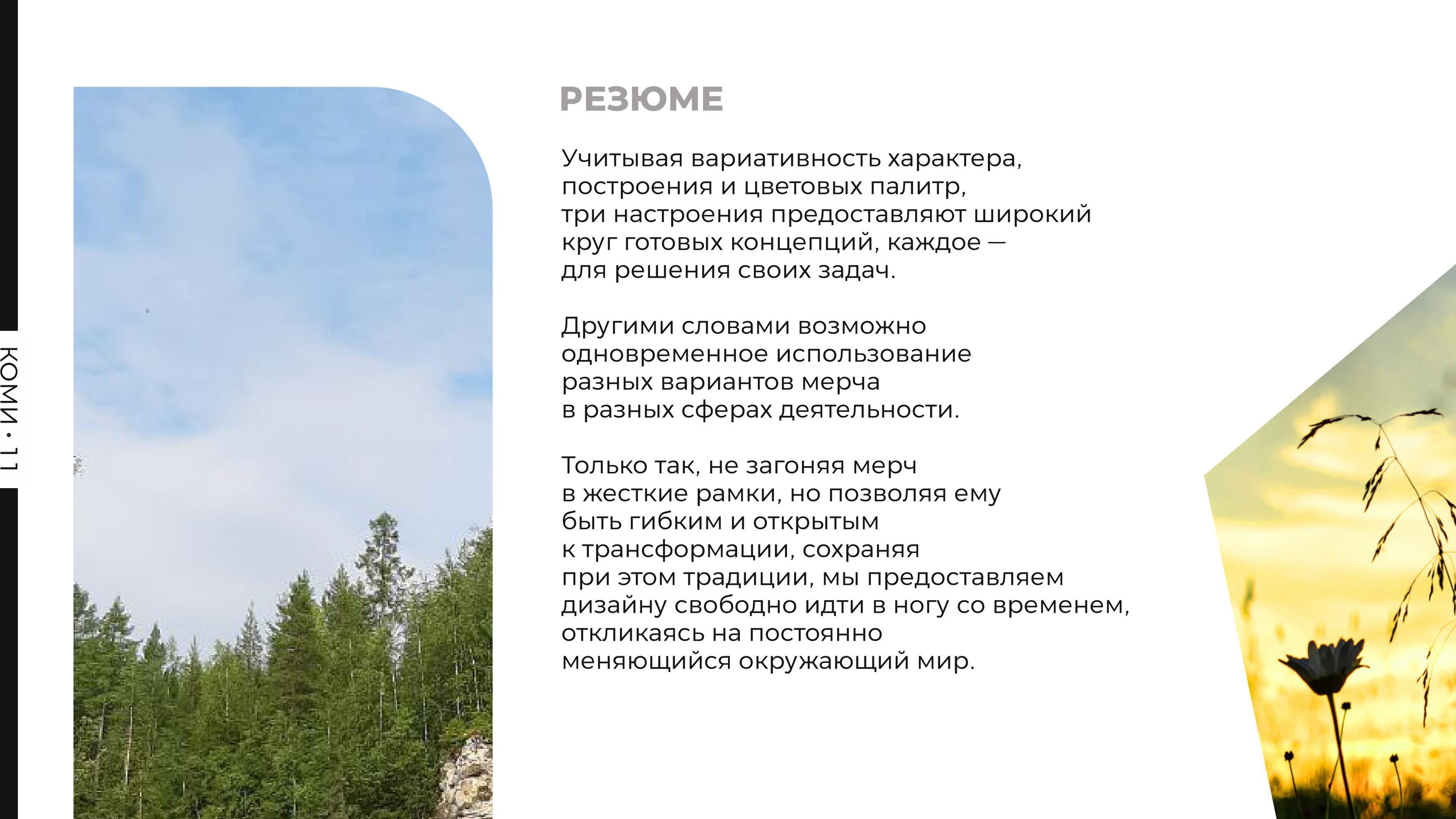 Коми 11 Мерч — Изображение №66 — Брендинг на Dprofile