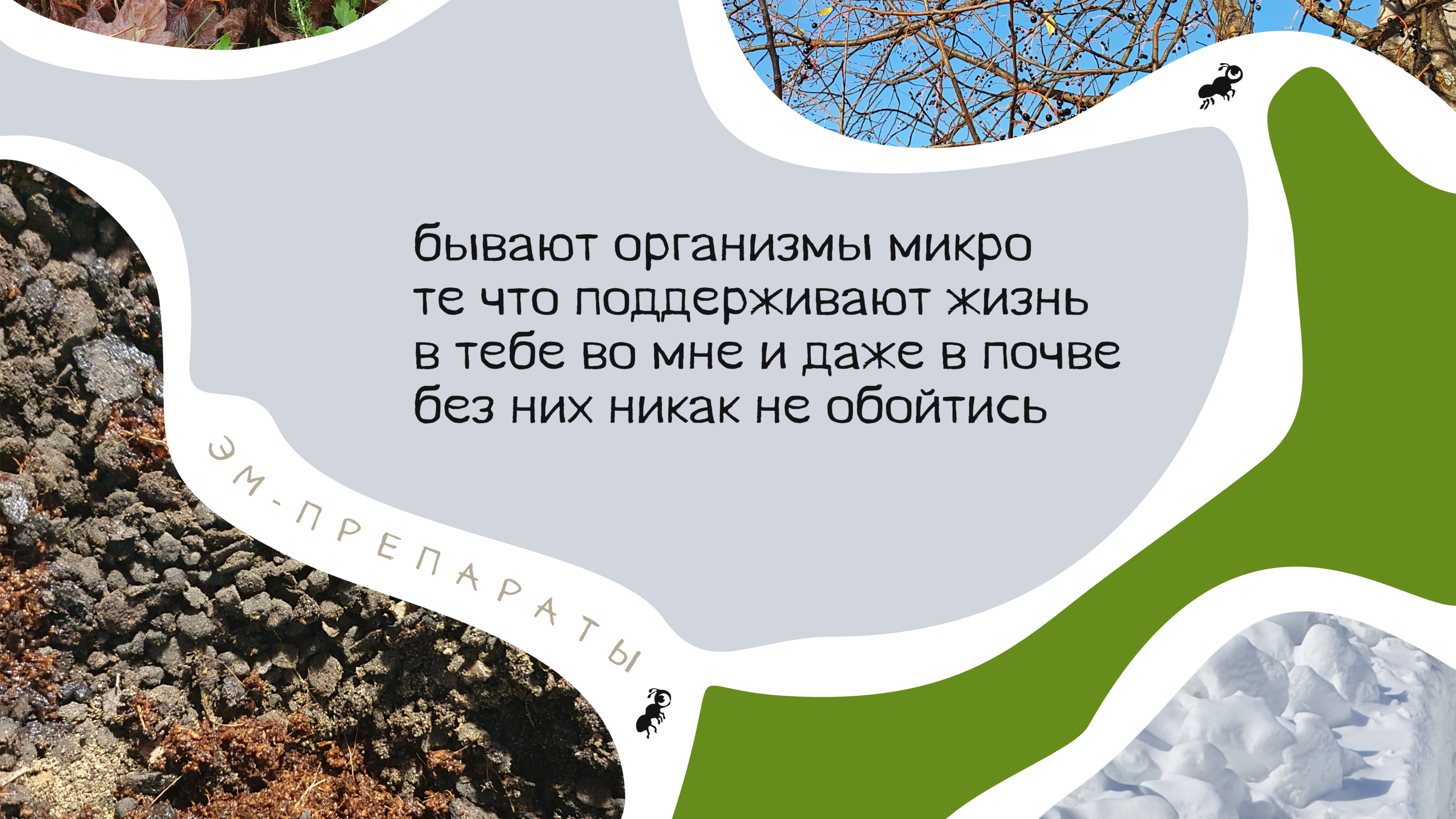Пирожки про Органическое Земледелие — Изображение №7 — Брендинг, Графика на Dprofile