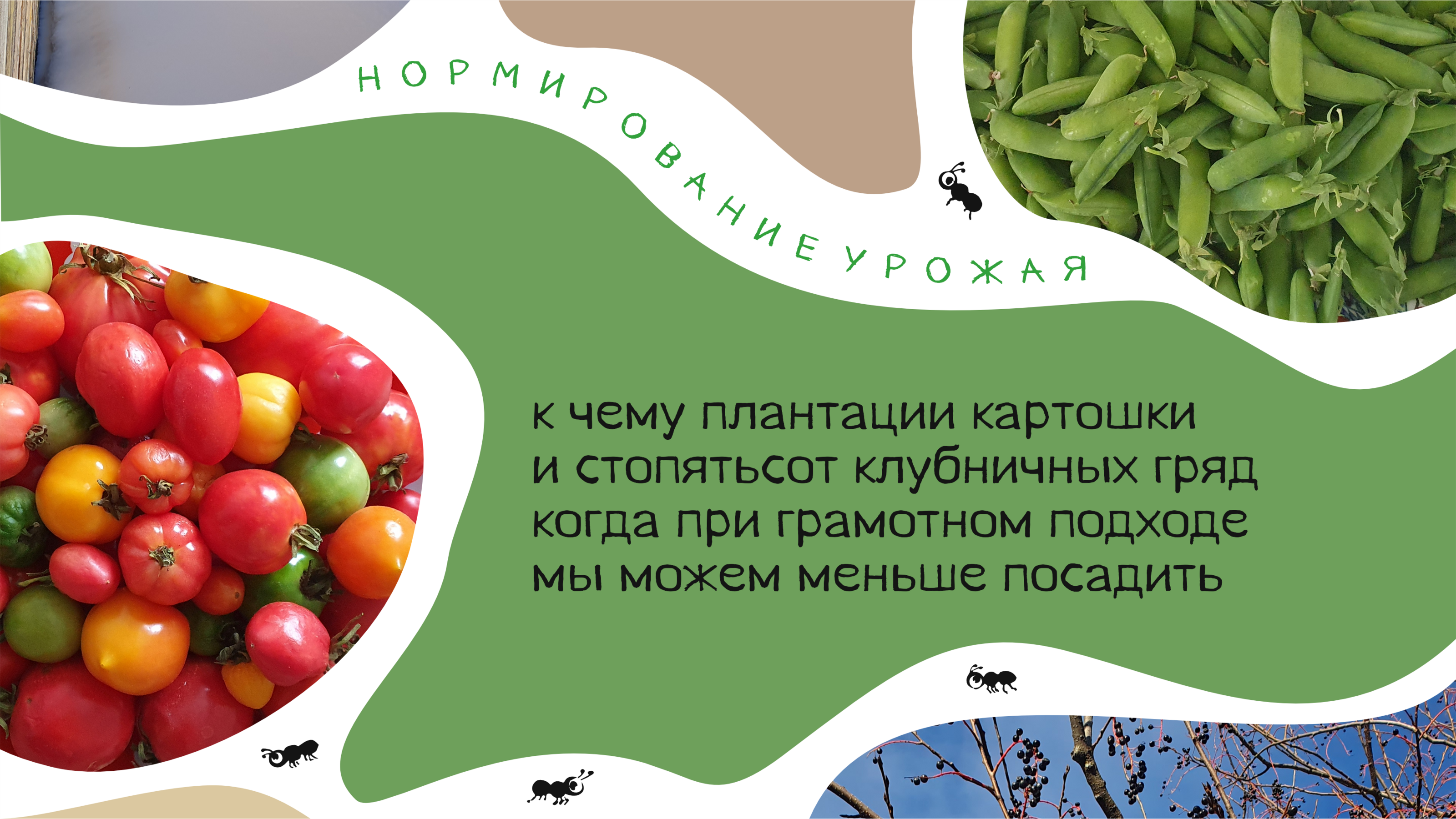 Пирожки про Органическое Земледелие — Изображение №5 — Брендинг, Графика на Dprofile