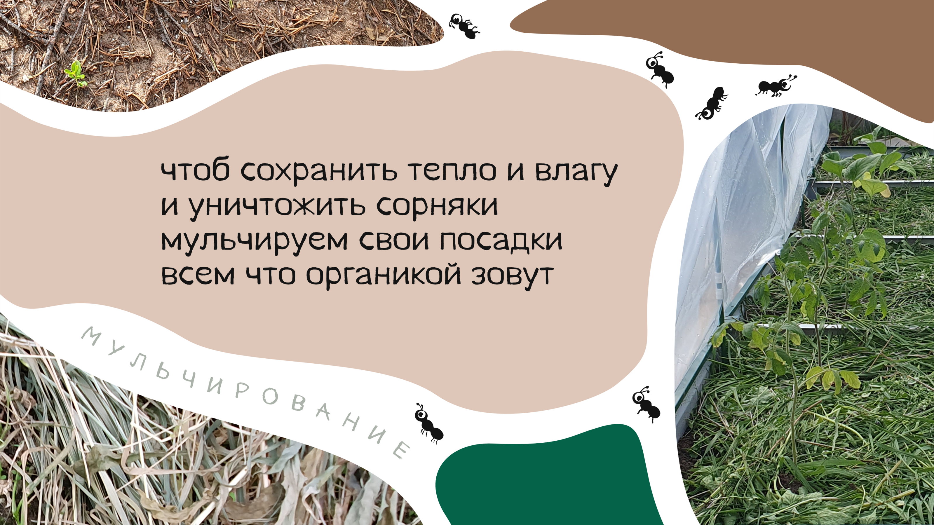 Пирожки про Органическое Земледелие — Изображение №9 — Брендинг, Графика на Dprofile