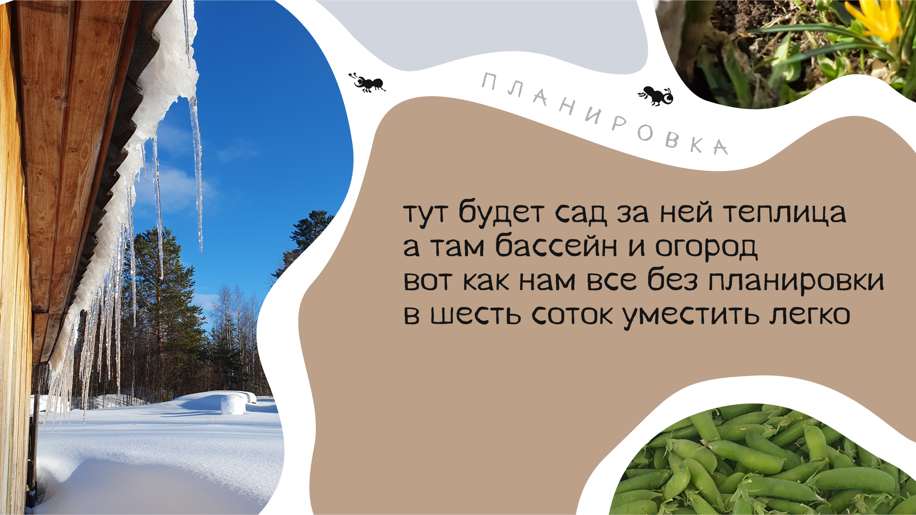 Пирожки про Органическое Земледелие — Изображение №4 — Брендинг, Графика на Dprofile