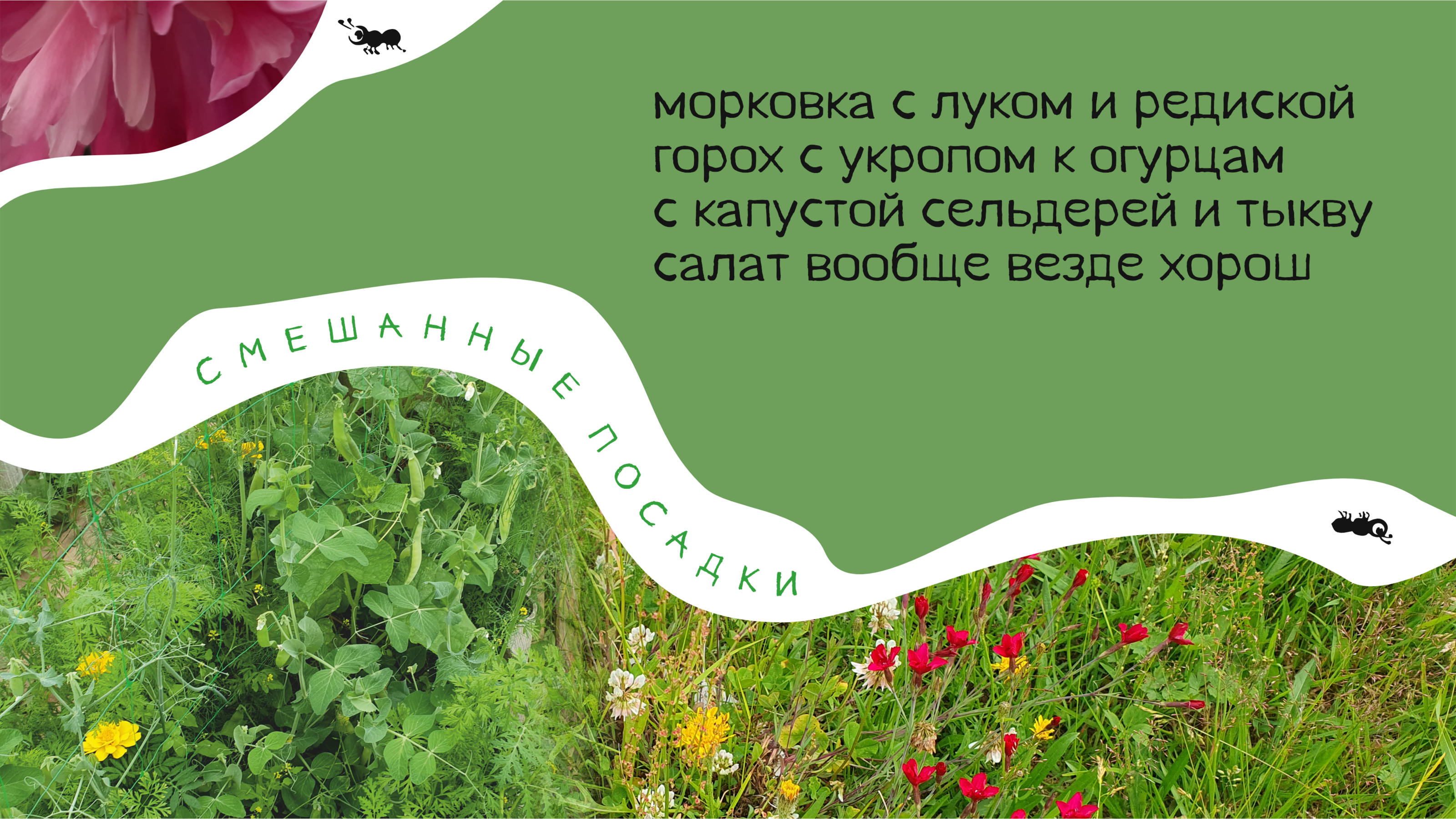 Пирожки про Органическое Земледелие — Изображение №15 — Брендинг, Графика на Dprofile