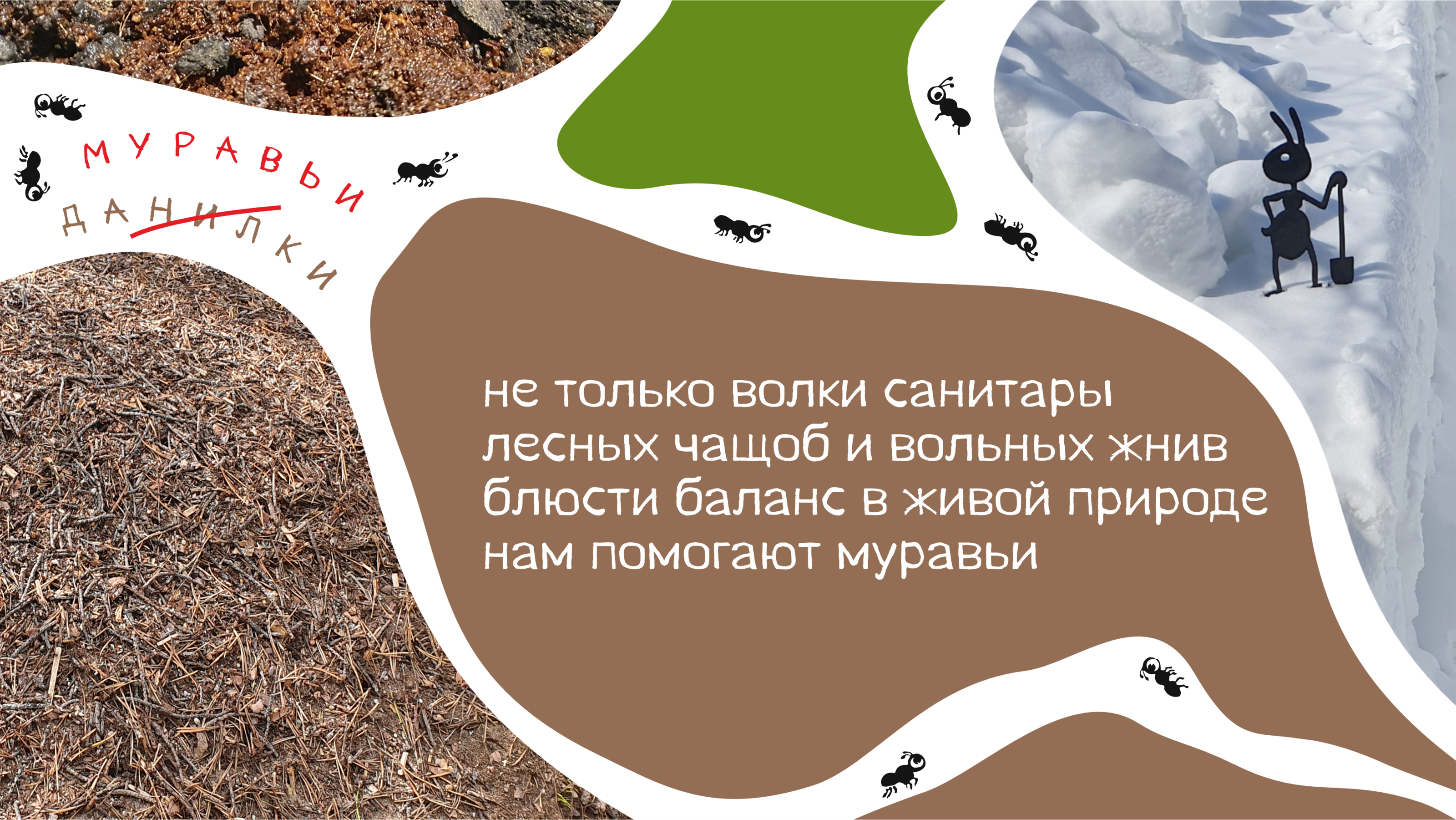 Пирожки про Органическое Земледелие — Изображение №8 — Брендинг, Графика на Dprofile