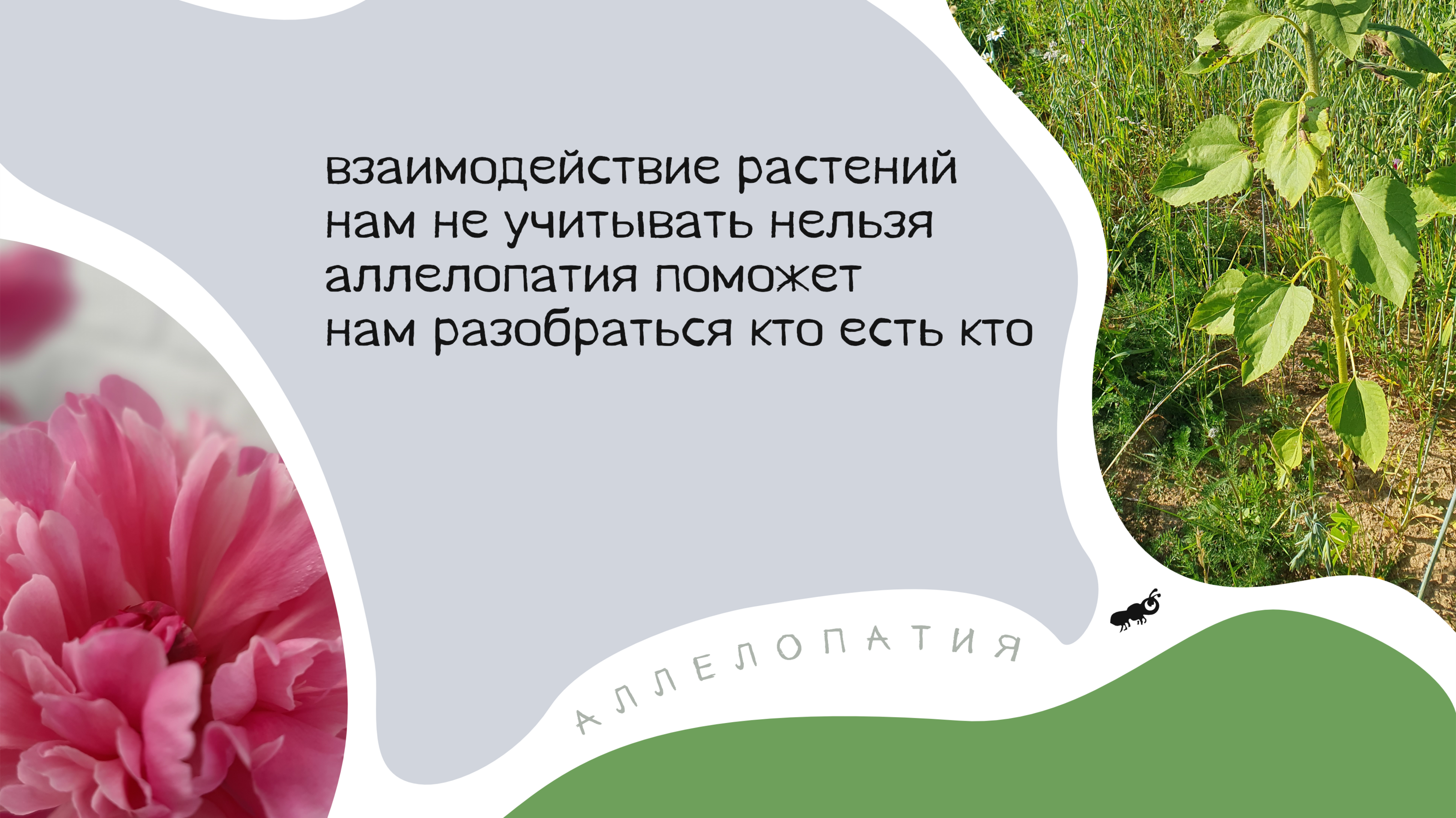 Пирожки про Органическое Земледелие — Изображение №14 — Брендинг, Графика на Dprofile