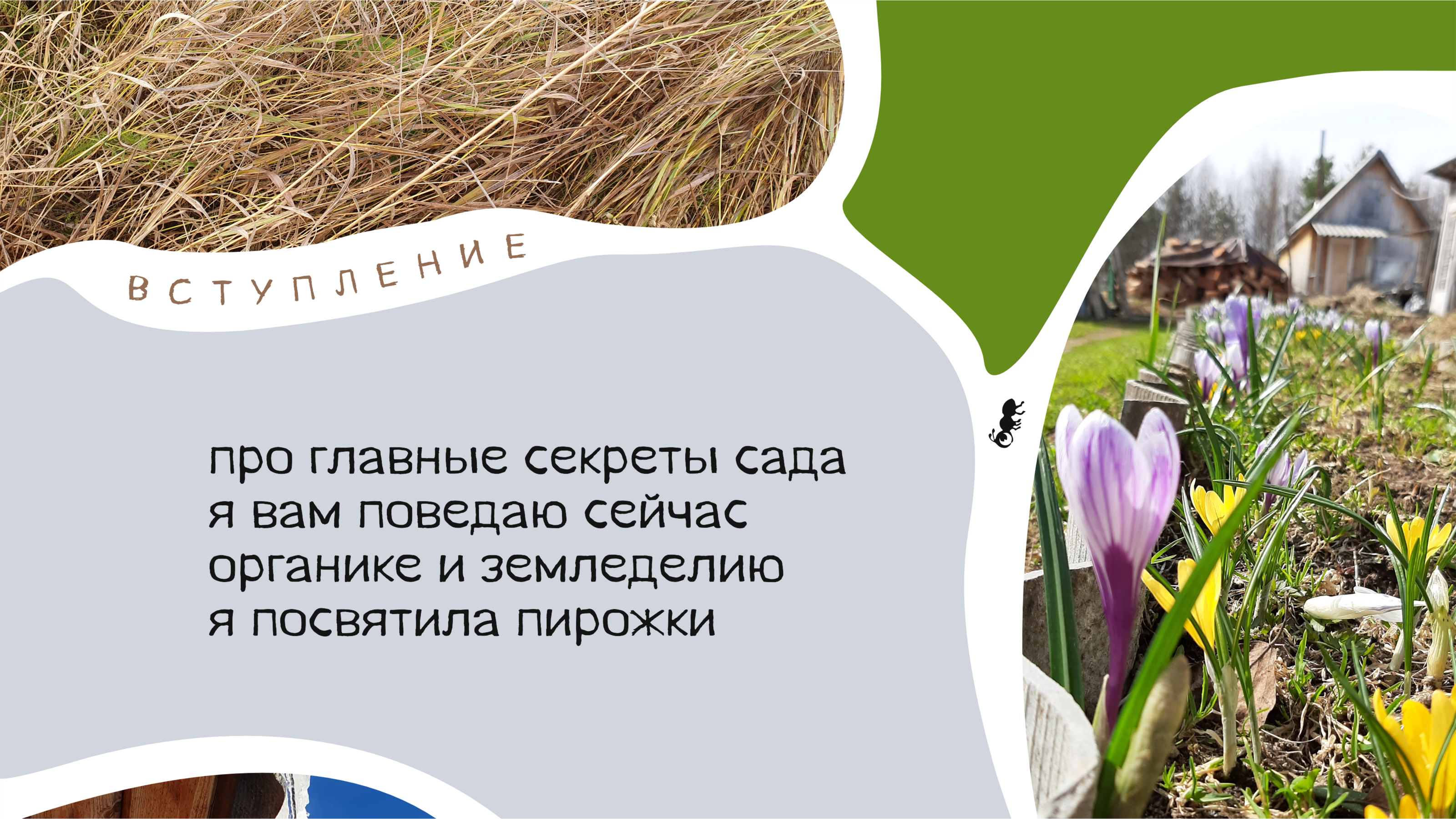 Пирожки про Органическое Земледелие — Изображение №3 — Брендинг, Графика на Dprofile