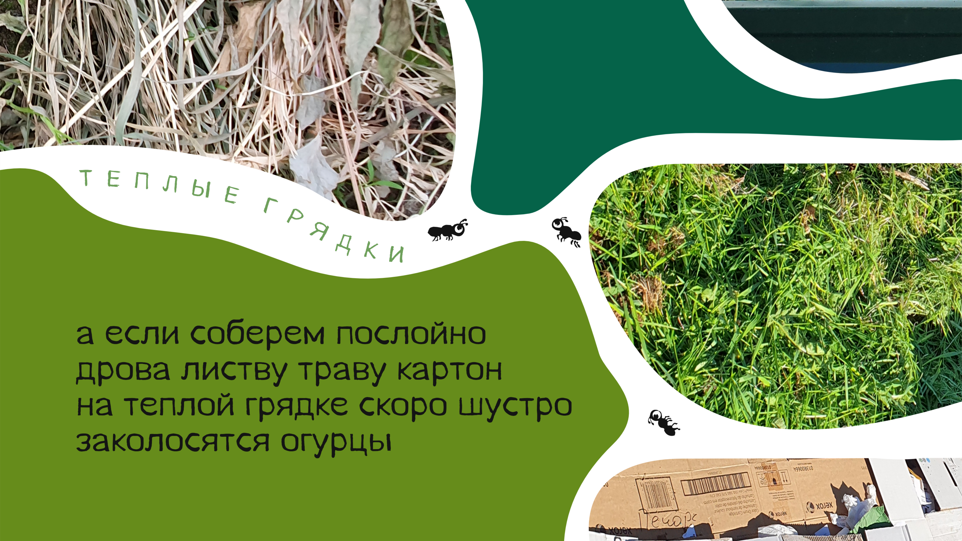 Пирожки про Органическое Земледелие — Изображение №10 — Брендинг, Графика на Dprofile