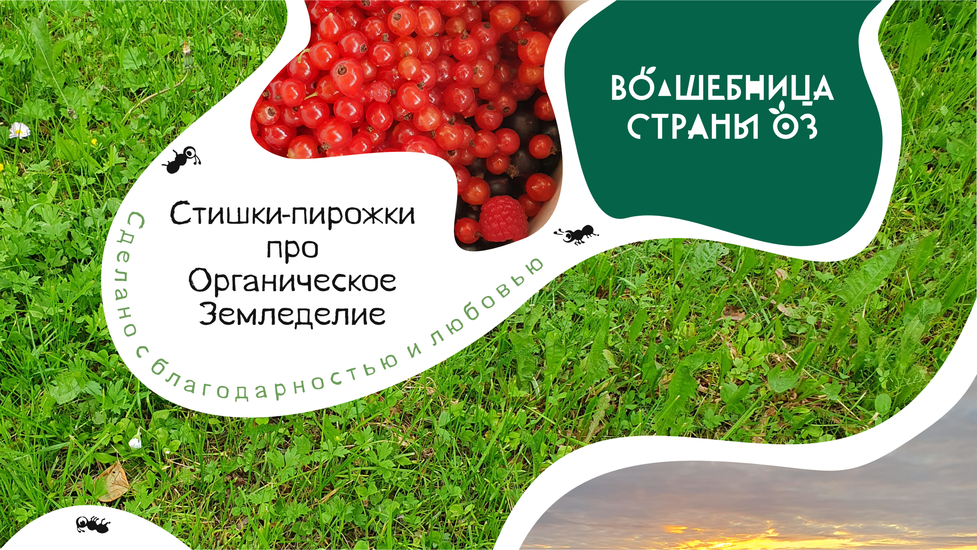 Пирожки про Органическое Земледелие — Изображение №1 — Брендинг, Графика на Dprofile