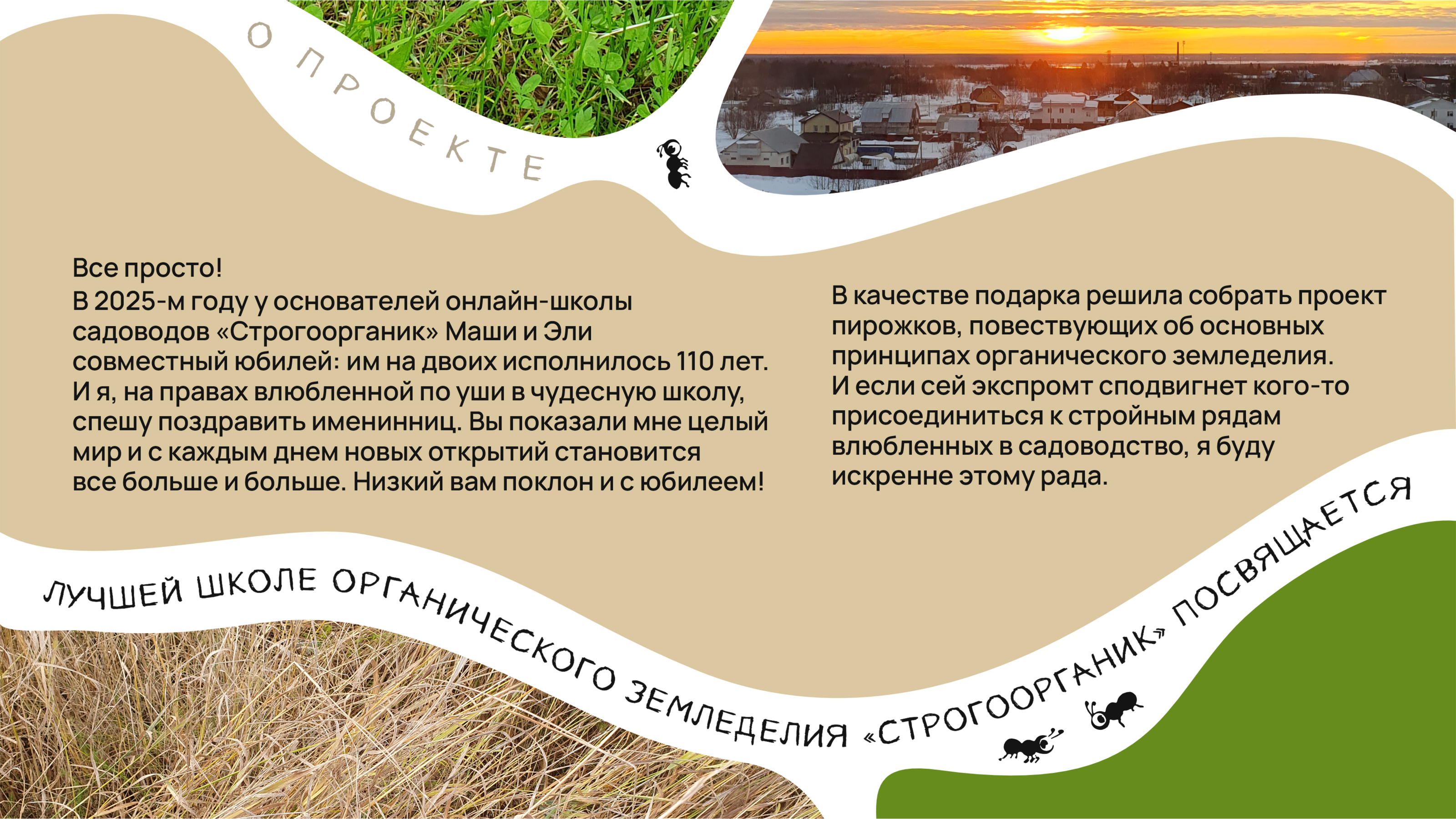 Пирожки про Органическое Земледелие — Изображение №2 — Брендинг, Графика на Dprofile