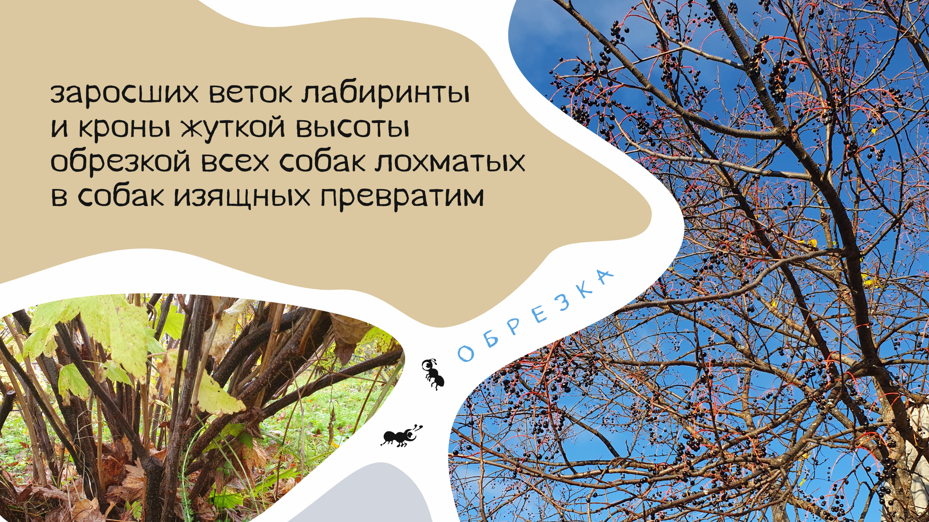 Пирожки про Органическое Земледелие — Изображение №6 — Брендинг, Графика на Dprofile