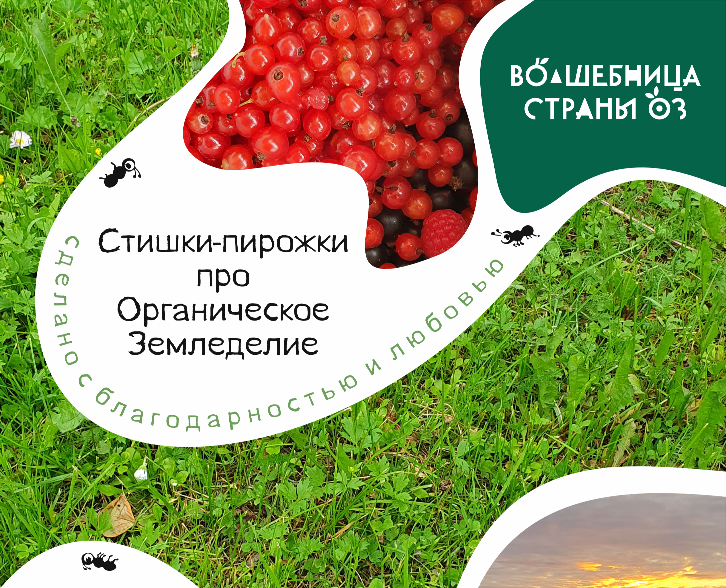 Пирожки про Органическое Земледелие на Dprofile
