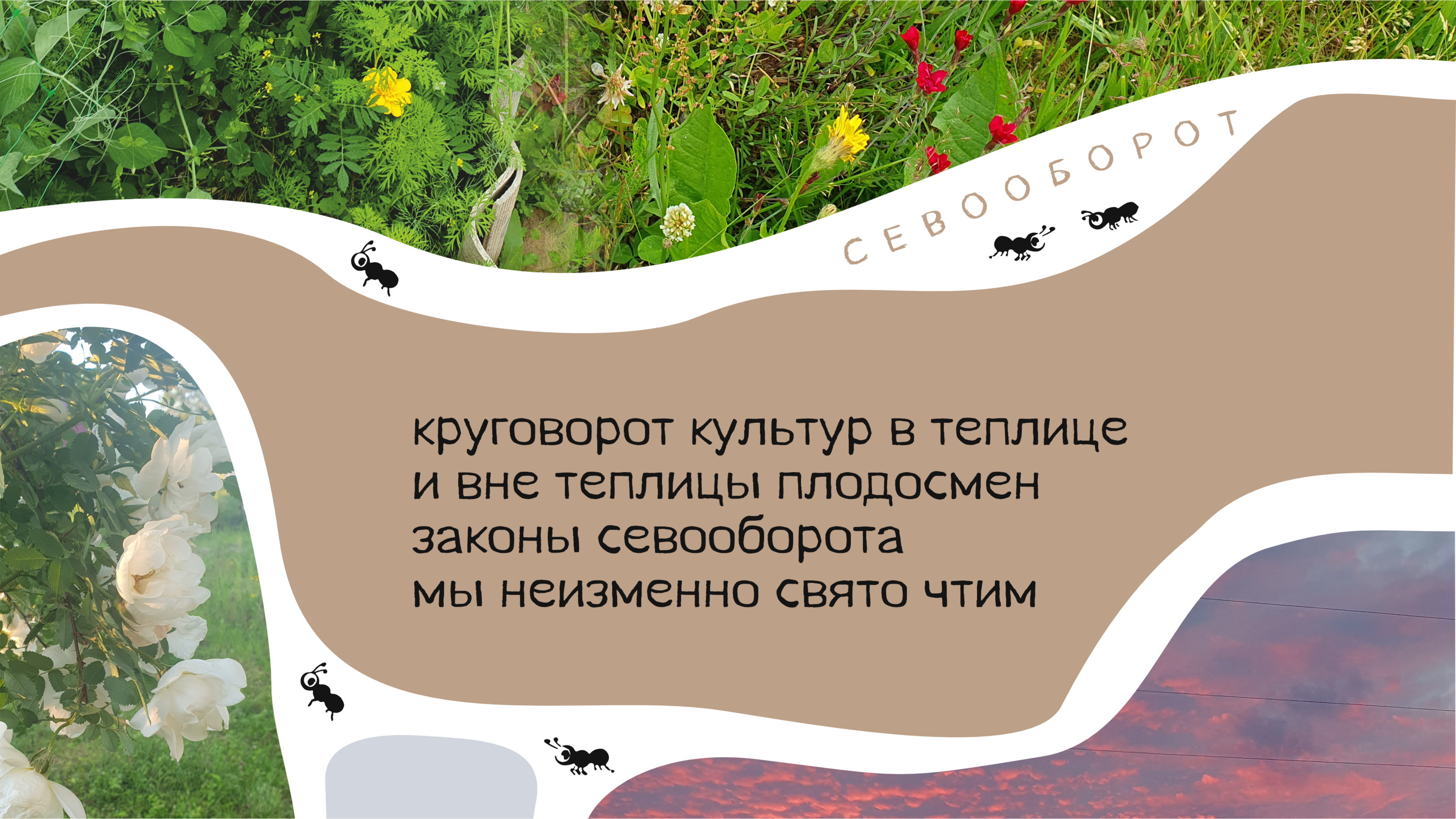 Пирожки про Органическое Земледелие — Изображение №16 — Брендинг, Графика на Dprofile