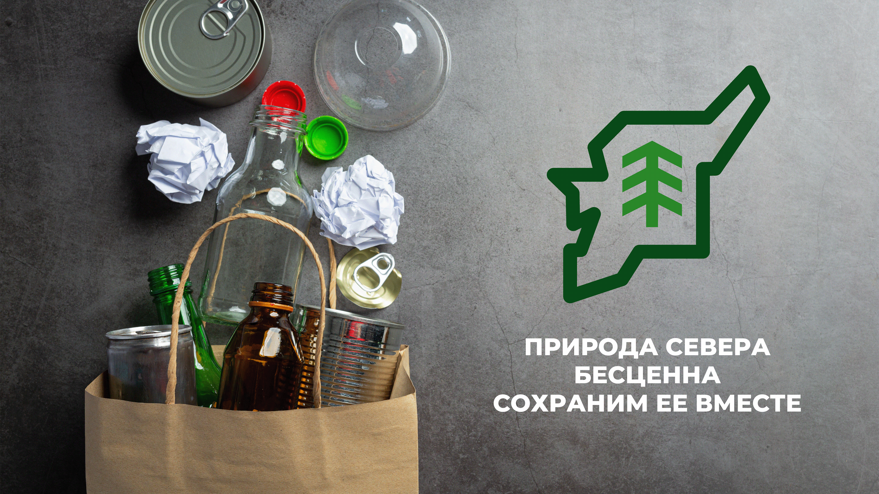 Коми эко фестиваль Белый Север — Изображение №8 — Брендинг на Dprofile