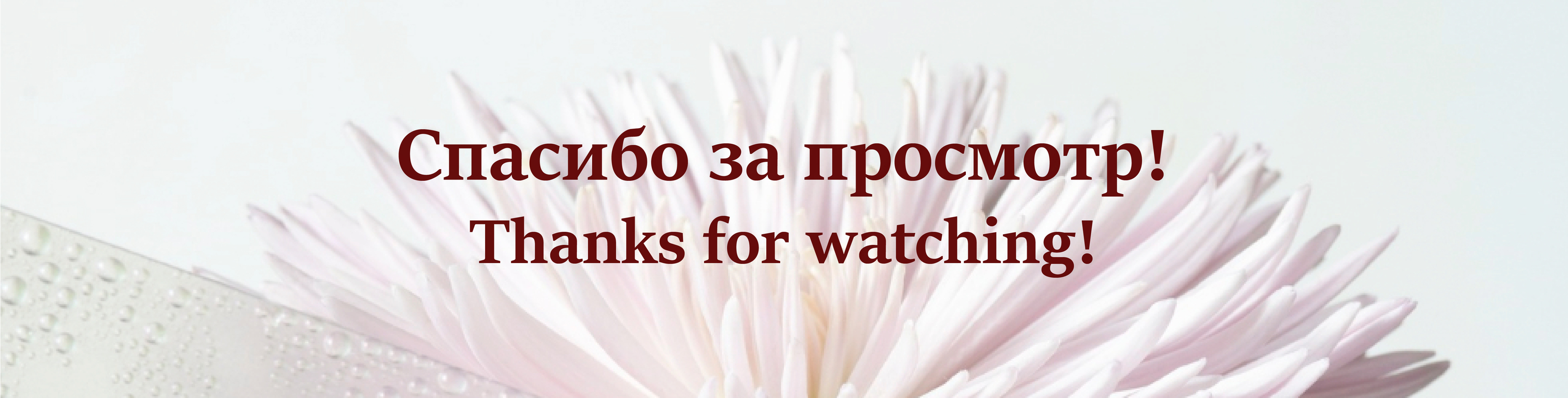 Оформление рекламных носителей для персонального бренда — Изображение №12 — Брендинг, Маркетинг на Dprofile