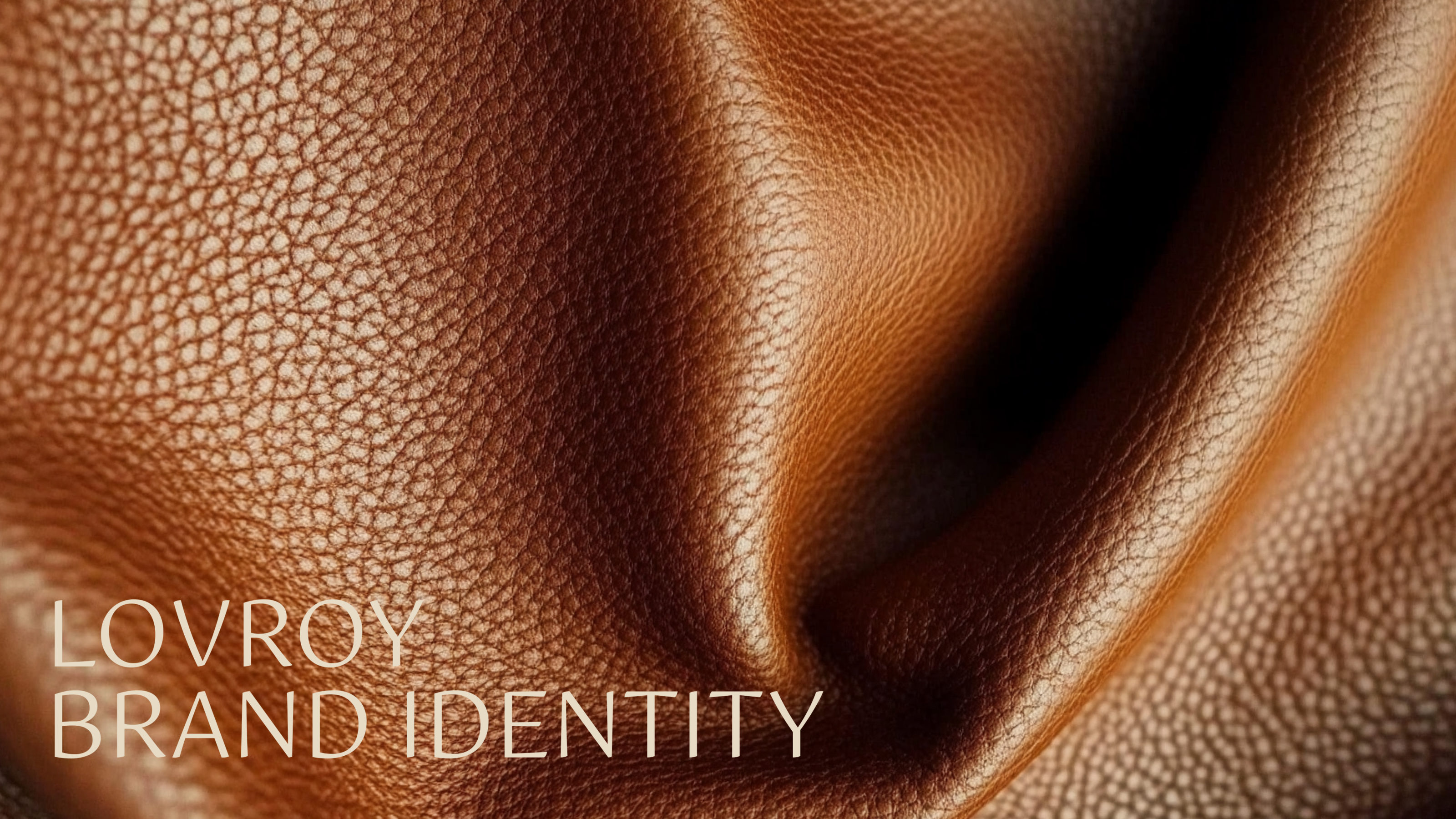 LOVROY brand identity — Изображение №1 — Брендинг на Dprofile