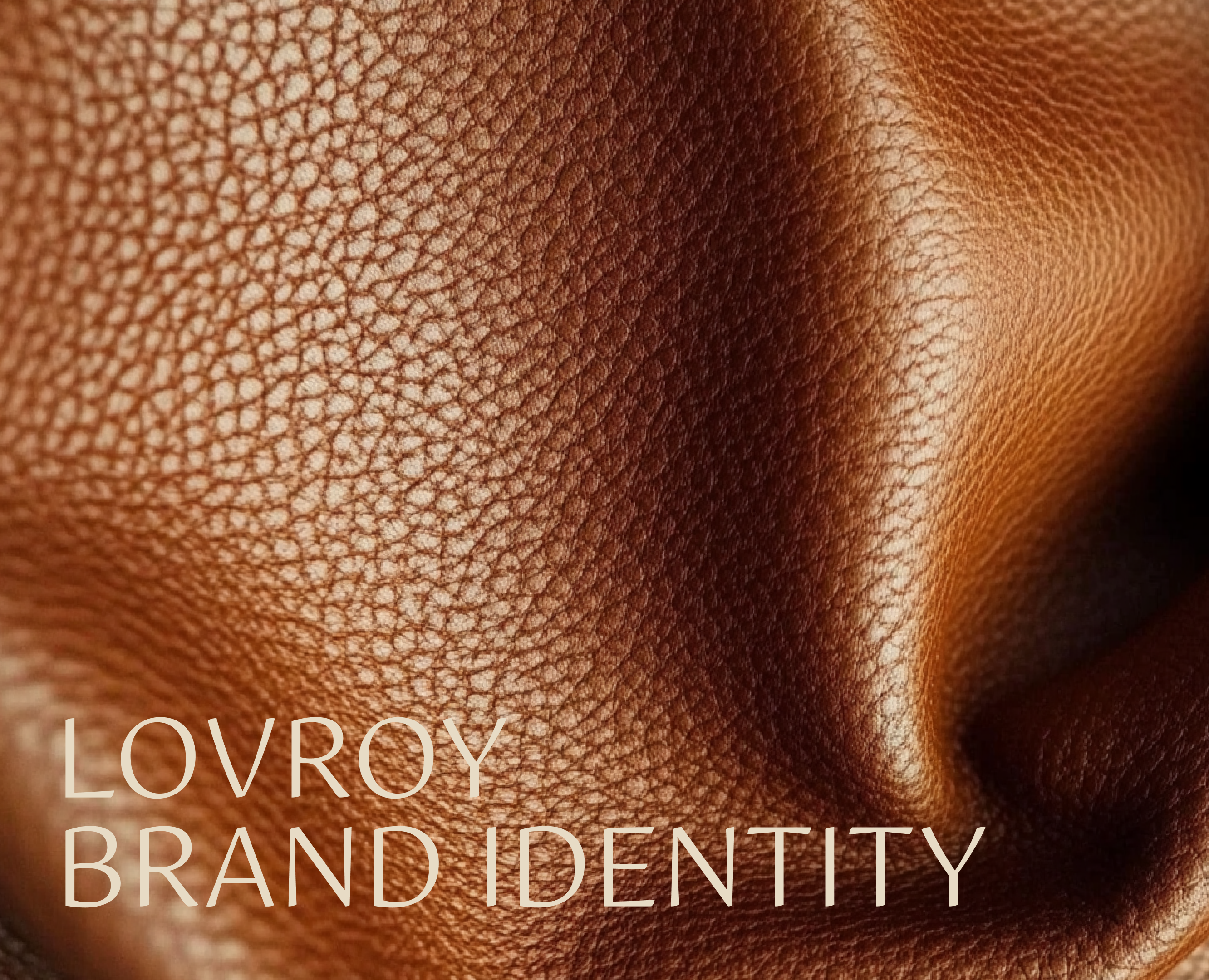 LOVROY brand identity на Dprofile