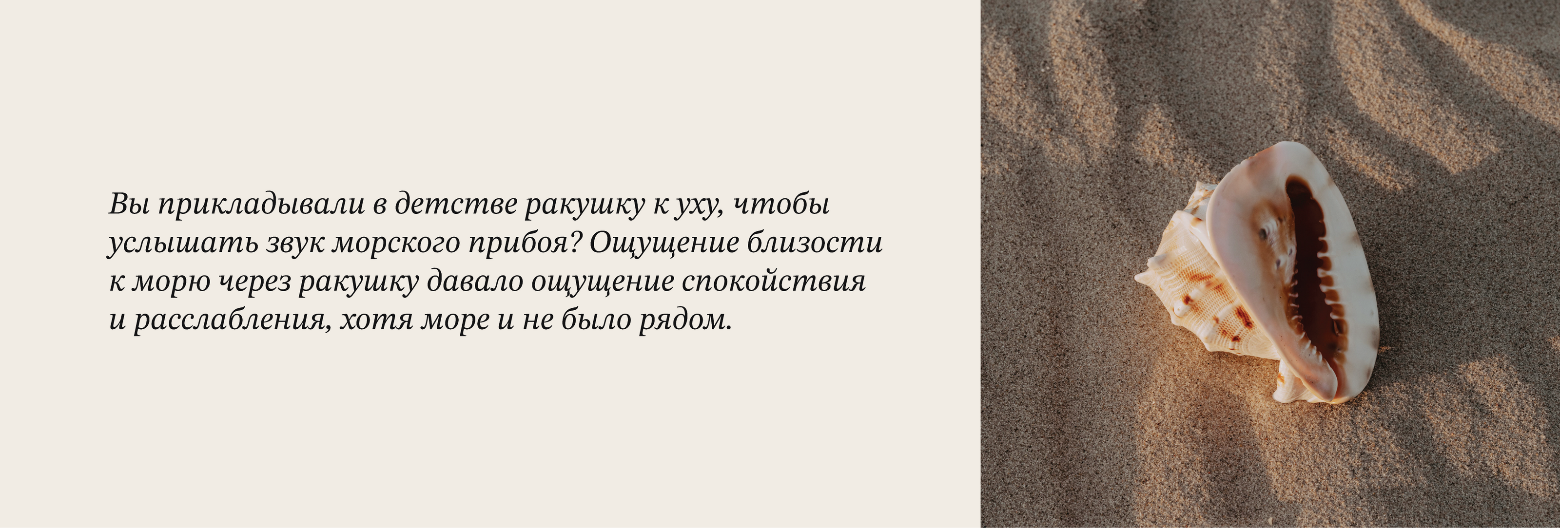 Миру Нужен Человек — Изображение №6 — Брендинг на Dprofile