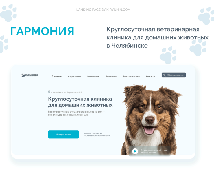 Сайт для ветеринарной клиники в Челябинске — Интерфейсы на Dprofile
