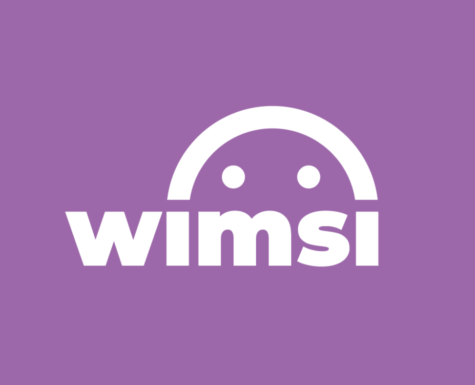 Разработка айдентики бренда Wimsi — Интерфейсы, Брендинг на Dprofile