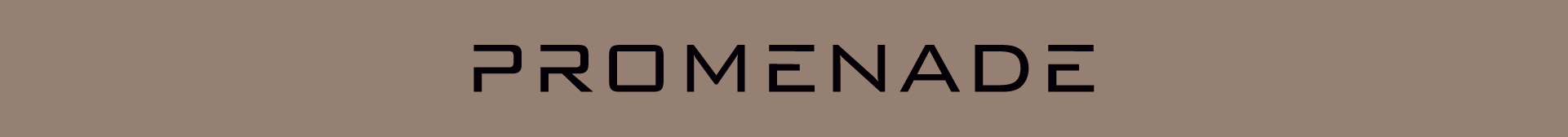 PROMENADE / Commercial presentation — Изображение №3 — Брендинг, Графика на Dprofile