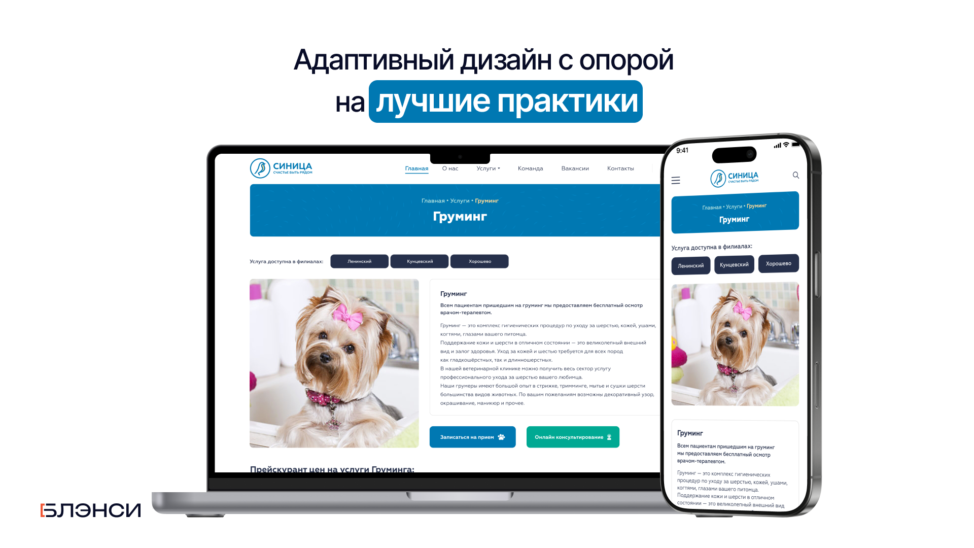 "Синица" — Изображение №3 — Интерфейсы на Dprofile