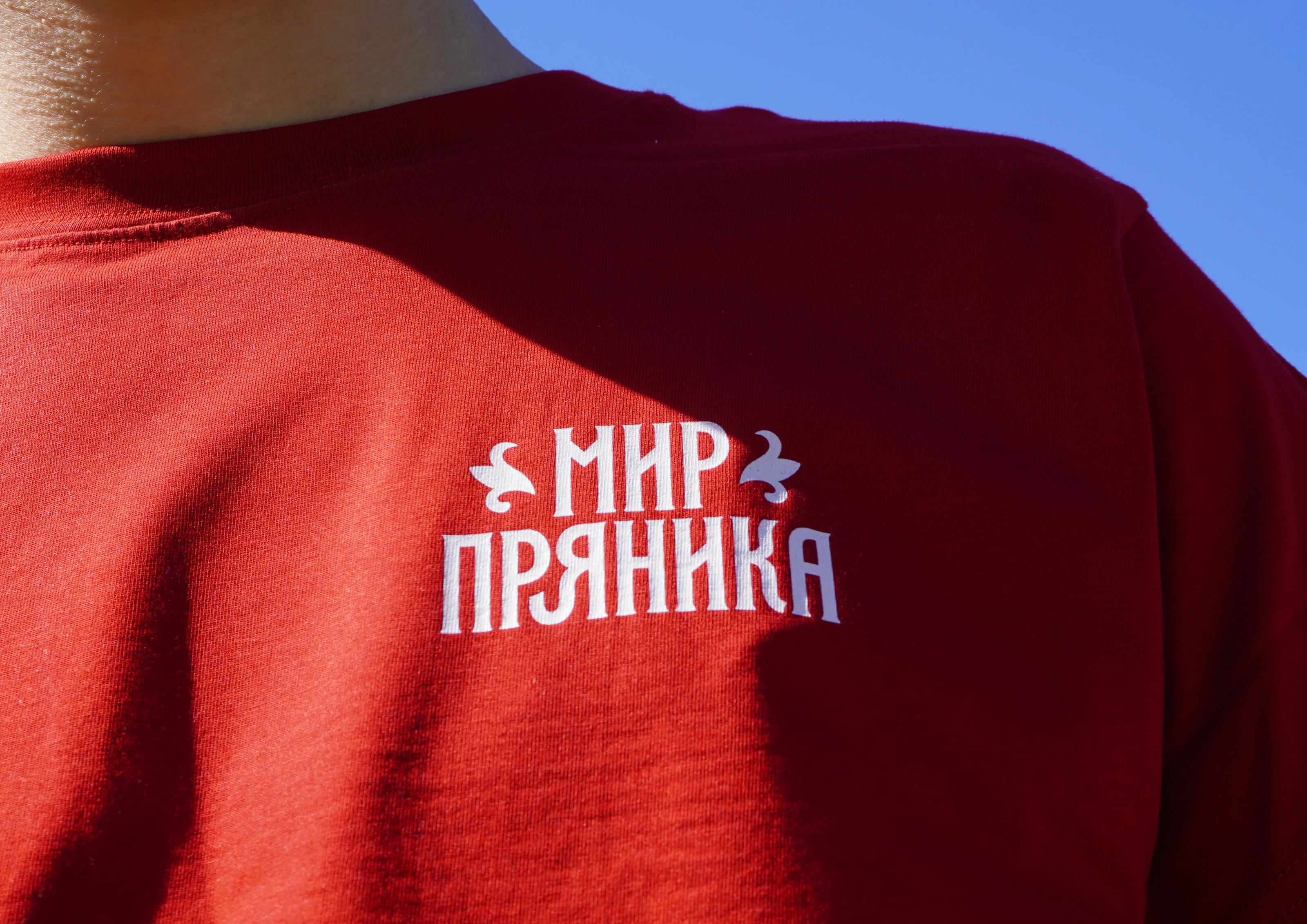 Концепт ребрендинга фестиваля «Мир Пряника» — Изображение №26 — Брендинг, Иллюстрация на Dprofile