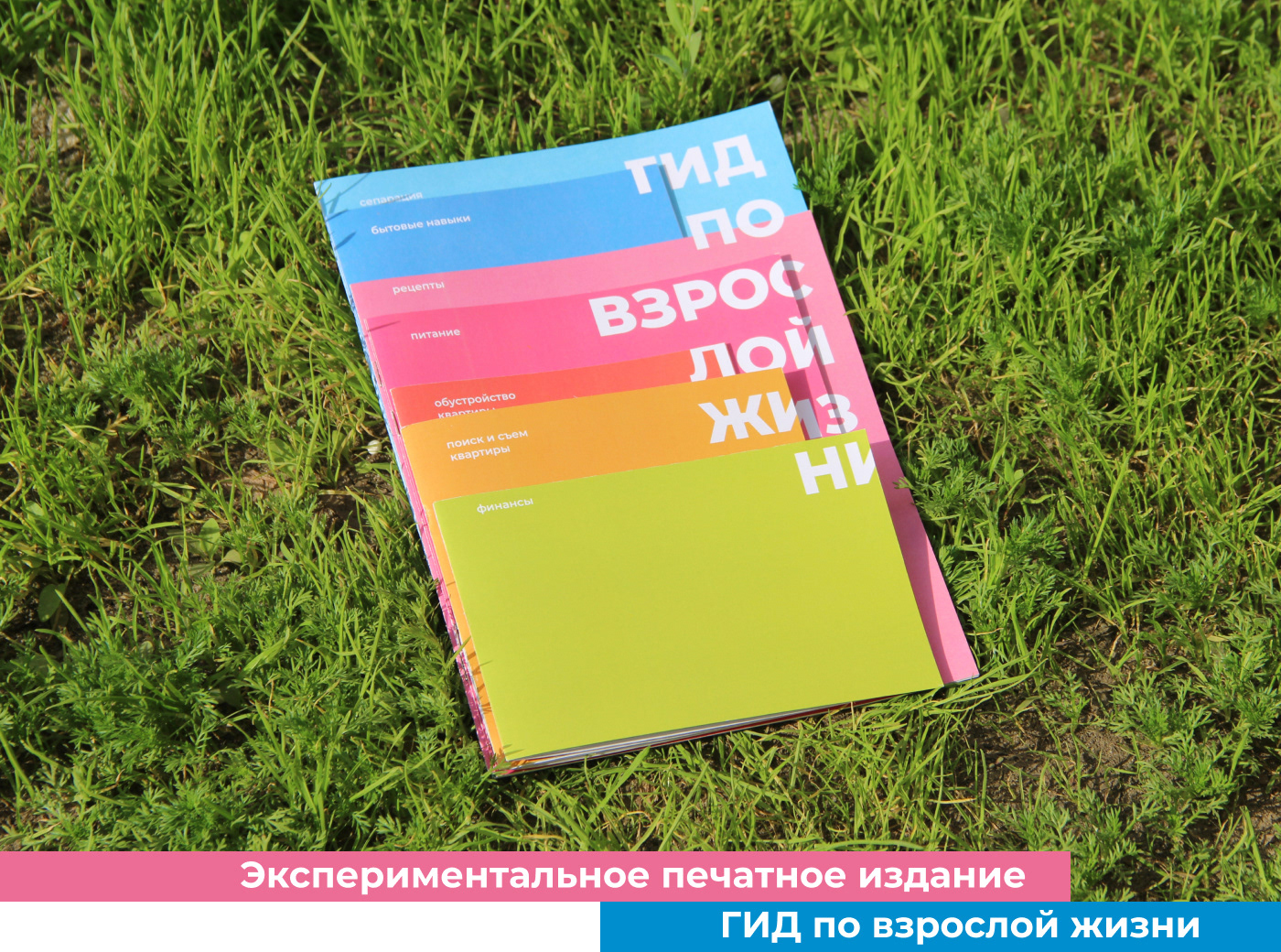 Гид по взрослой жизни — Изображение №1 — Графика на Dprofile