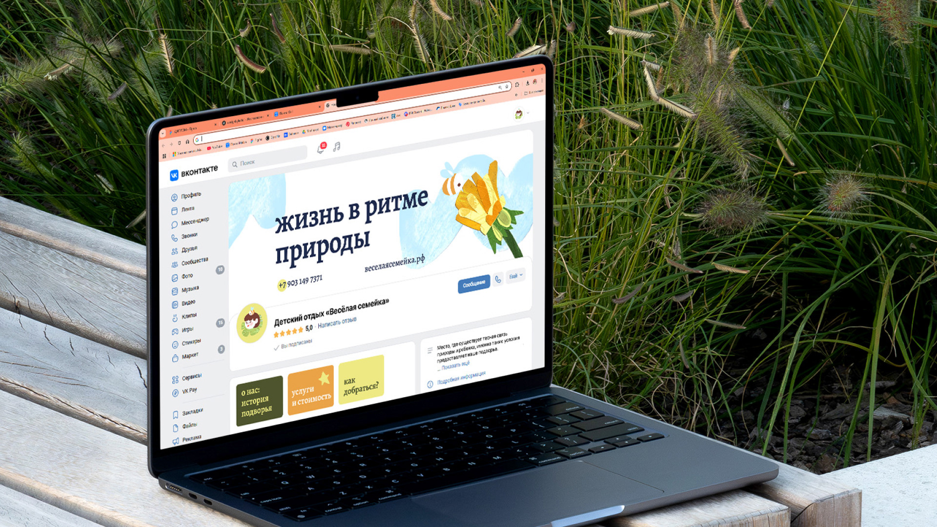 Весёлая семейка — детский отдых на конном подворье — Изображение №15 — Брендинг, Графика на Dprofile