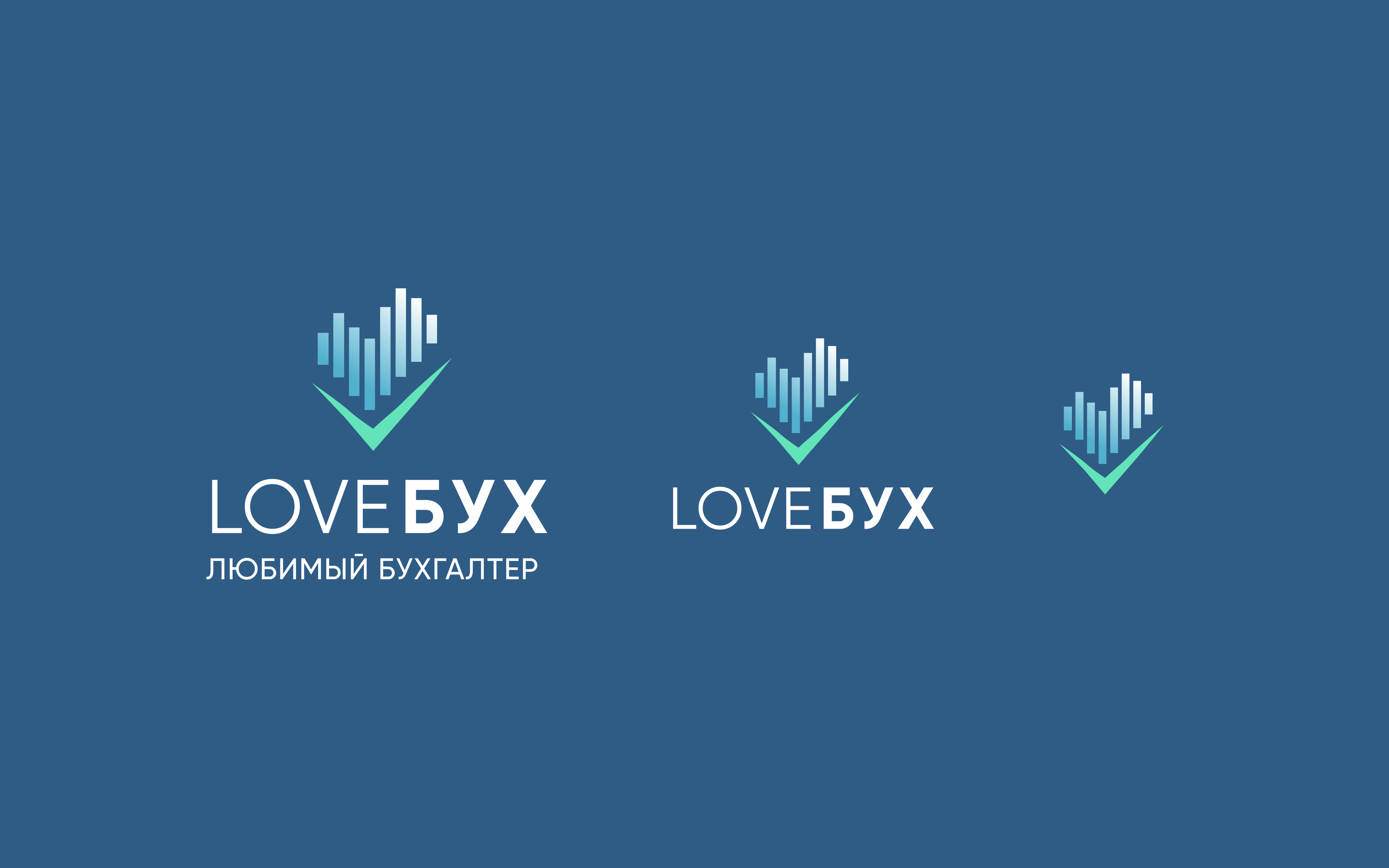 Айдентика компании «Love Бух» — Изображение №3 — Брендинг на Dprofile