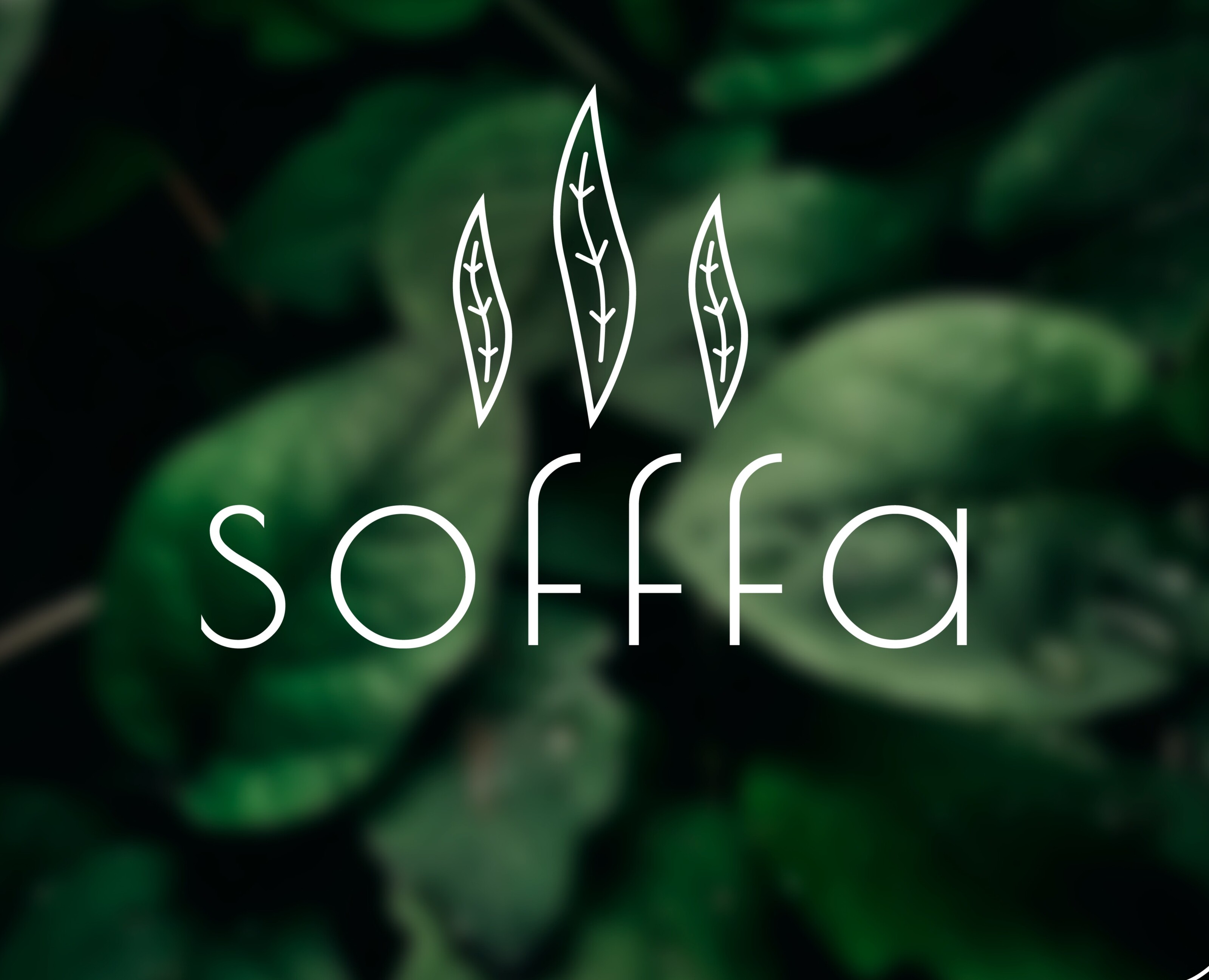 Фирменный стиль и логотип к кофейне Sofffa — Брендинг на Dprofile
