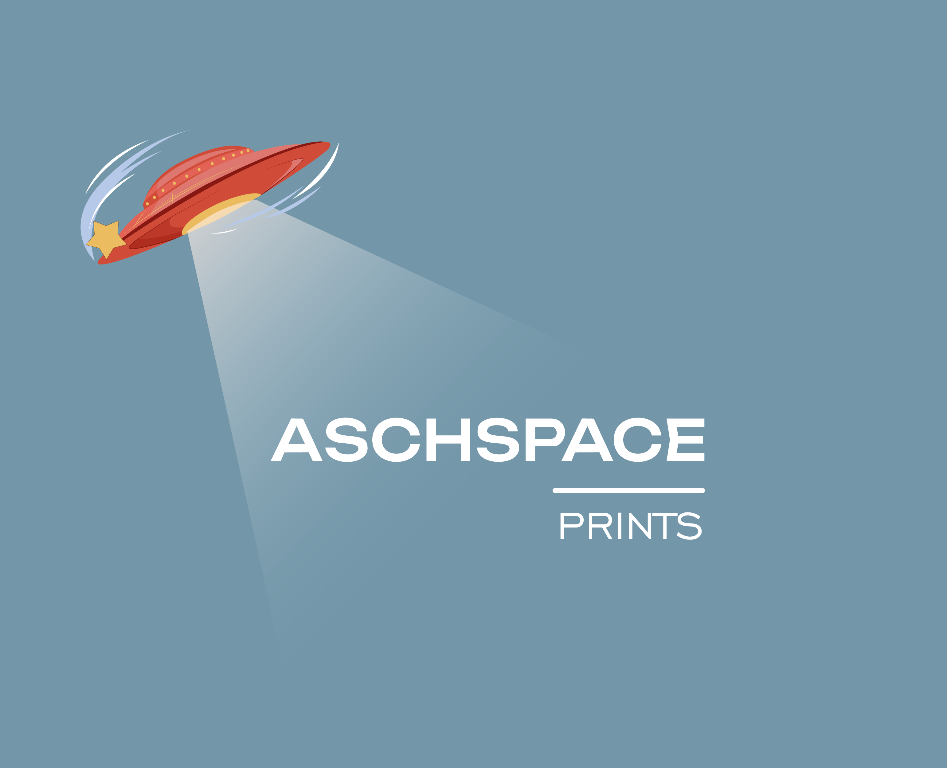 Prints for ASCHSPACE — Брендинг, Иллюстрация на Dprofile