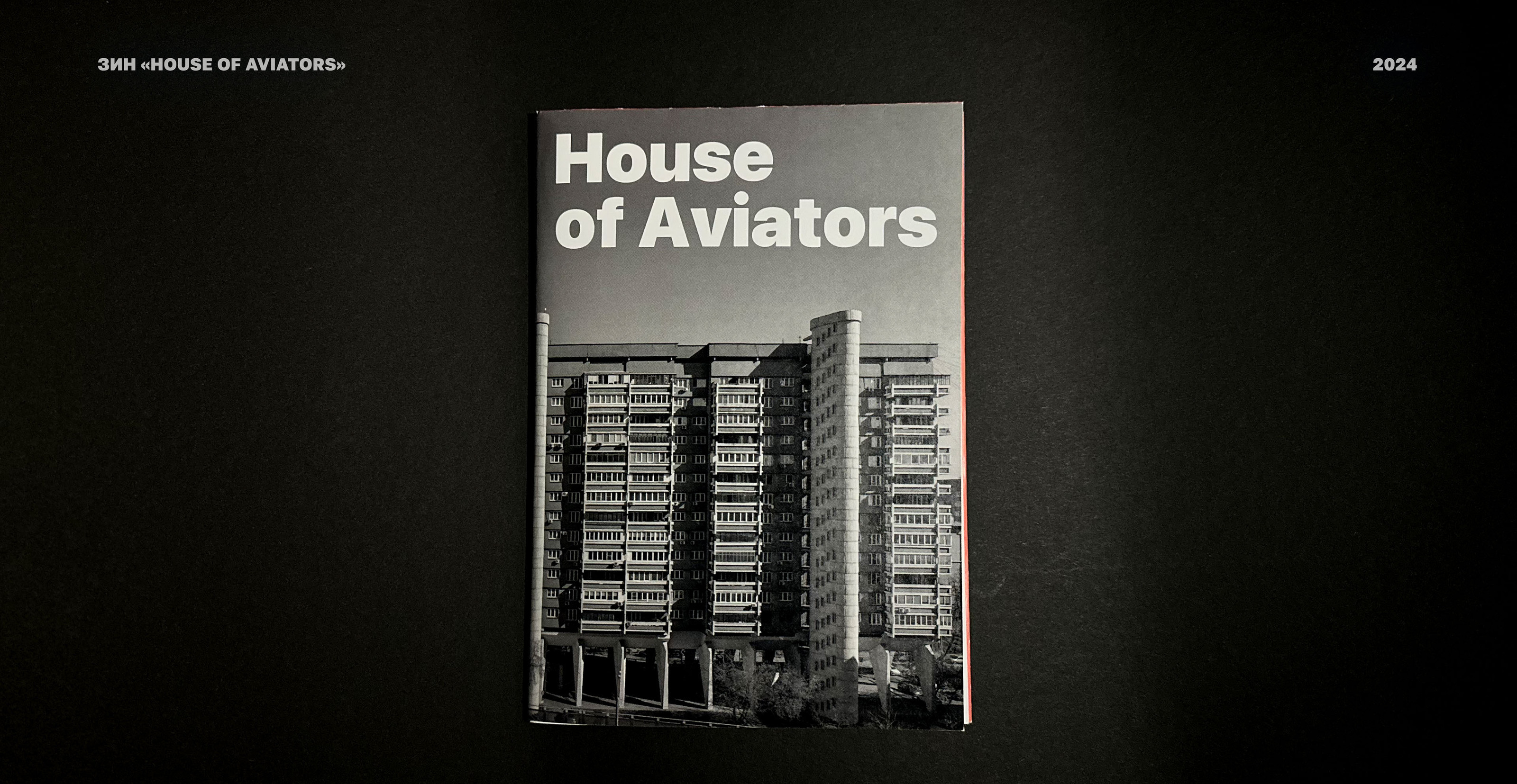 ЗИН «HOUSE OF AVIATORS» — Изображение №1 — Графика на Dprofile